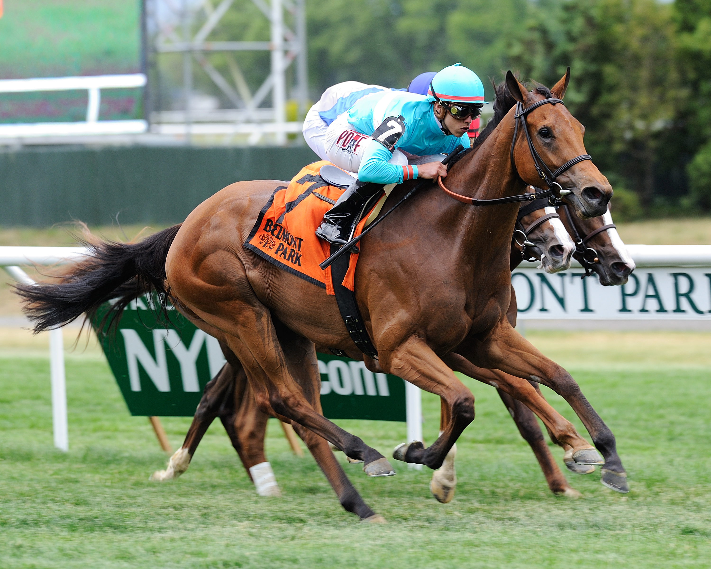 Lady Eli wins the Wonder Again
