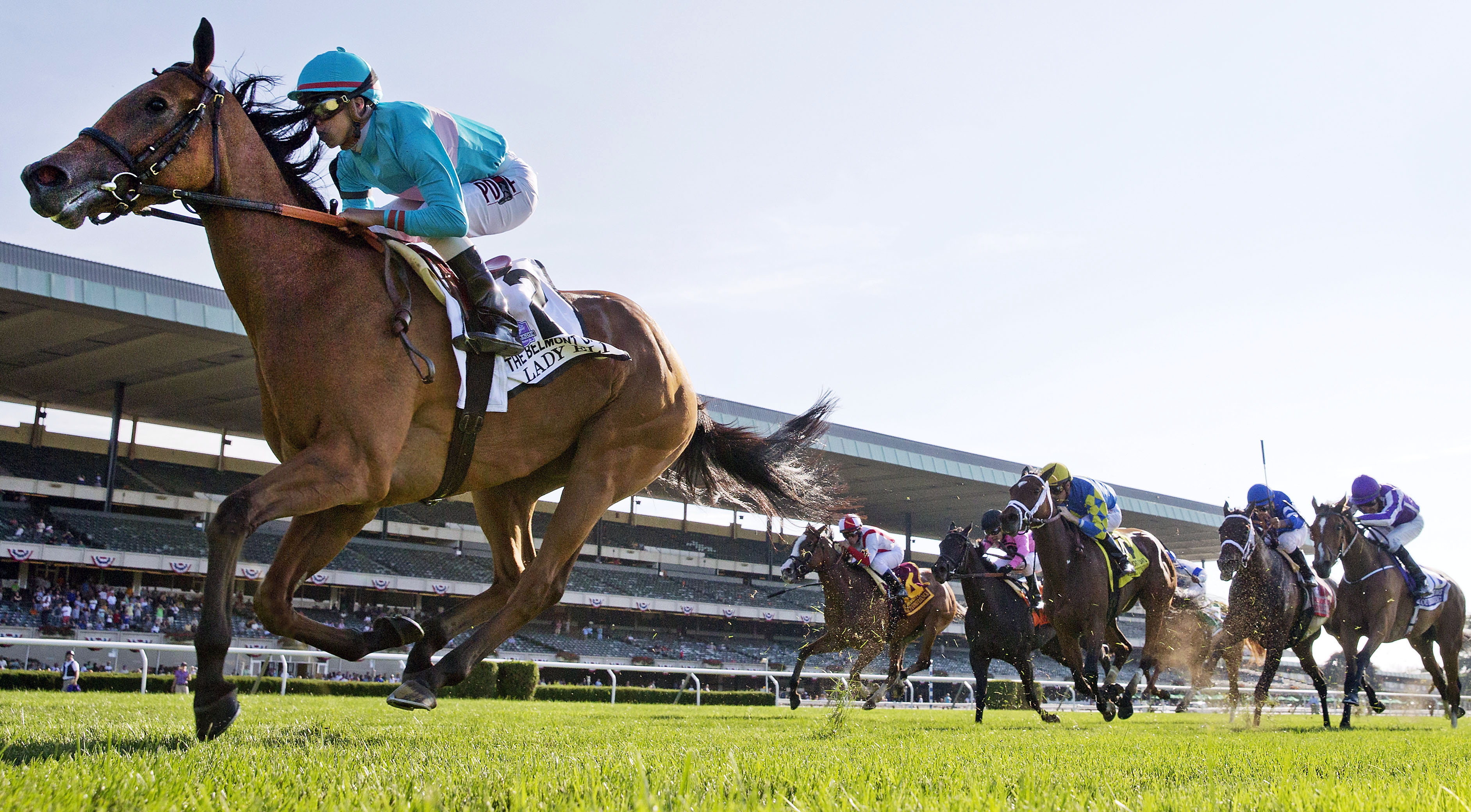 Lady Eli