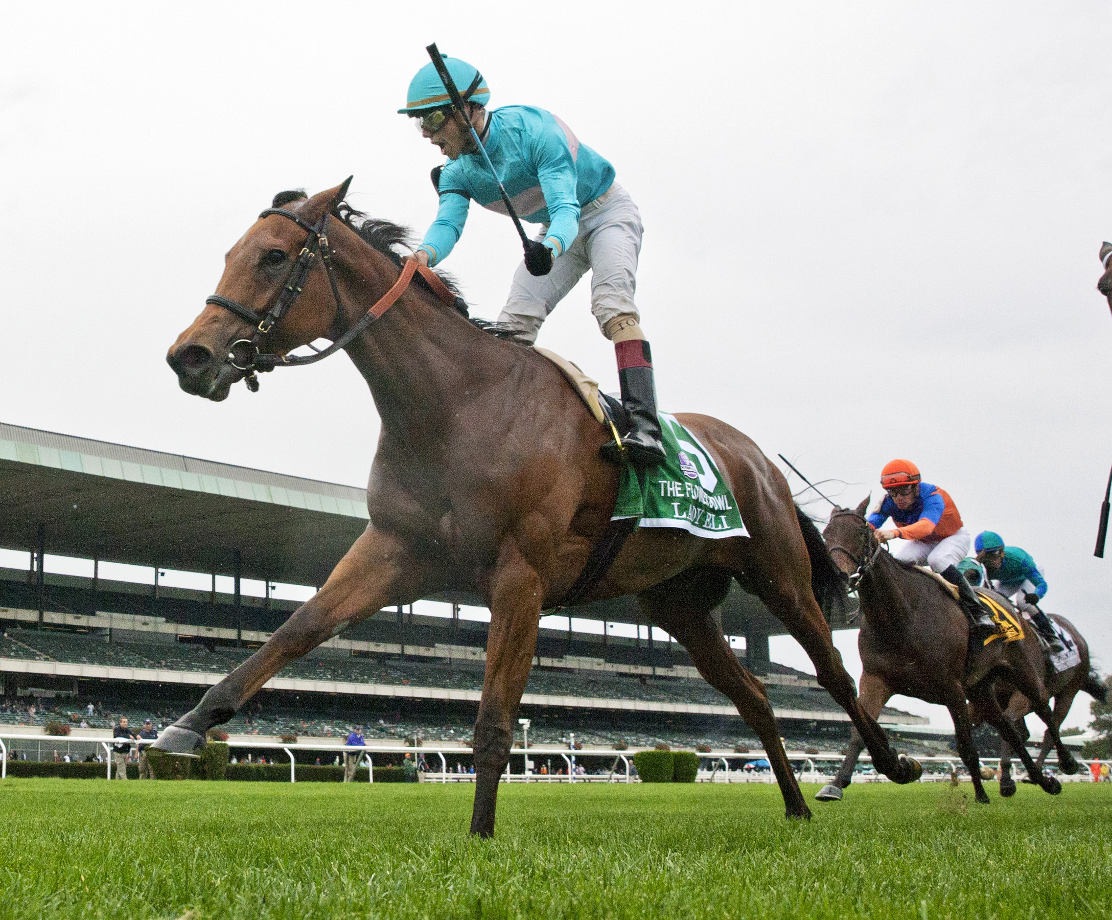 Lady Eli