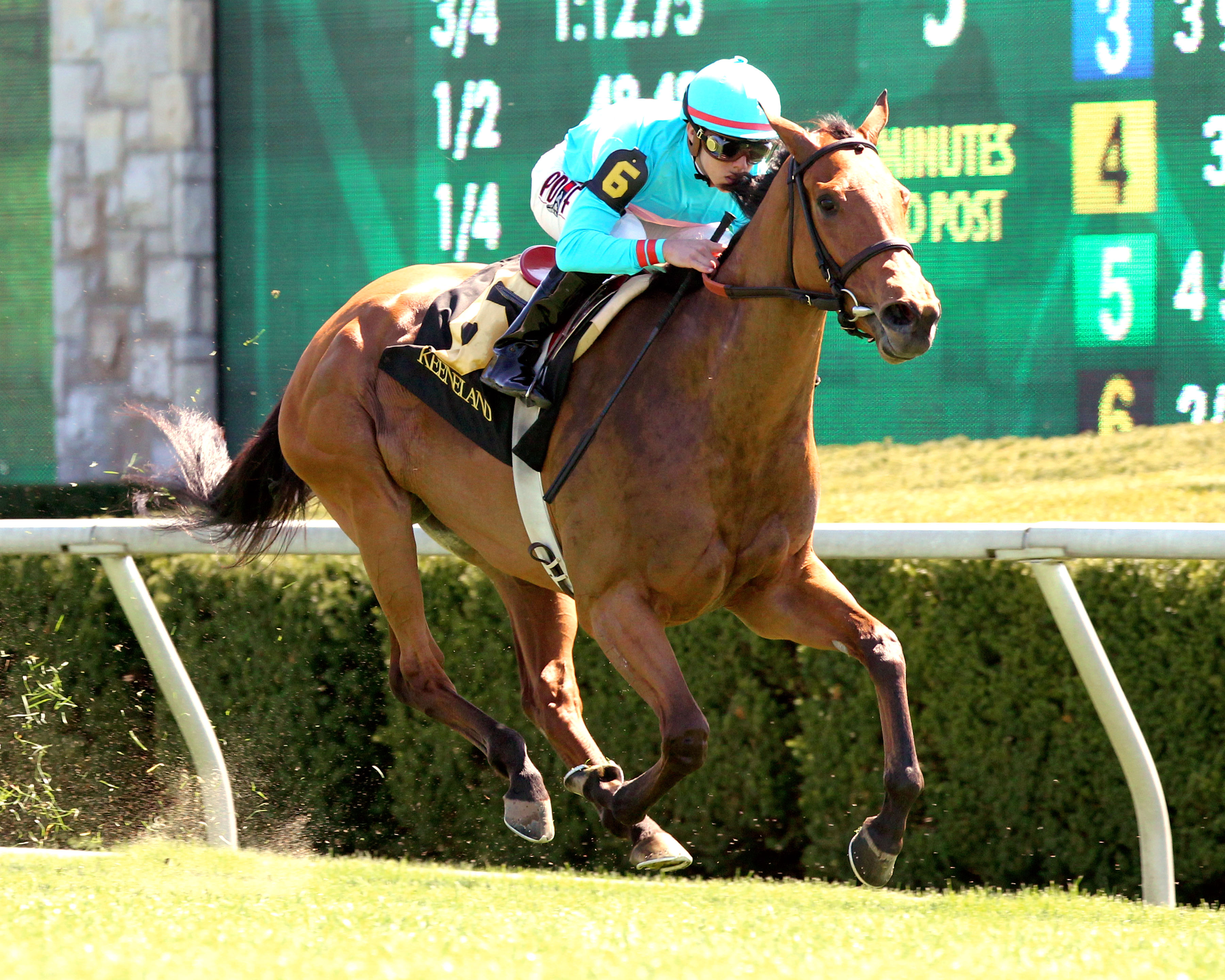 Lady Eli wins the Appalachian