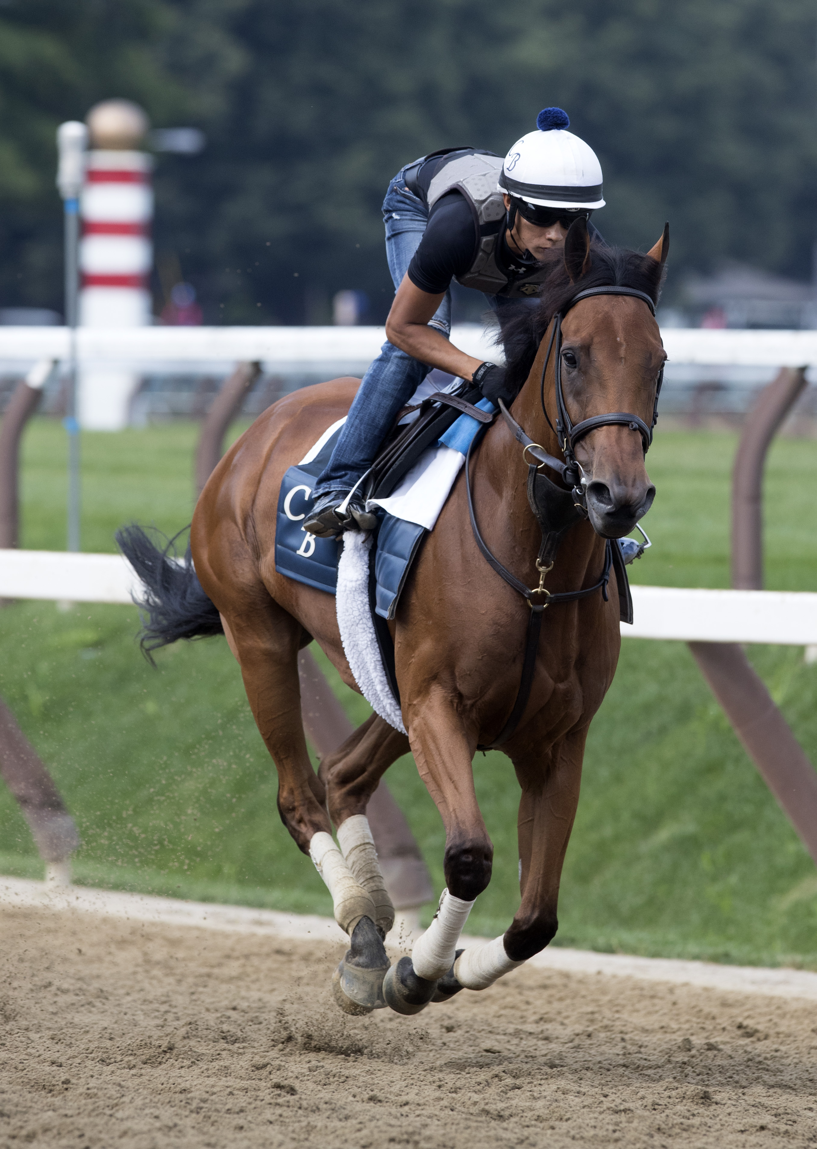 Lady Eli trains at Saratoga on July 20, 2017