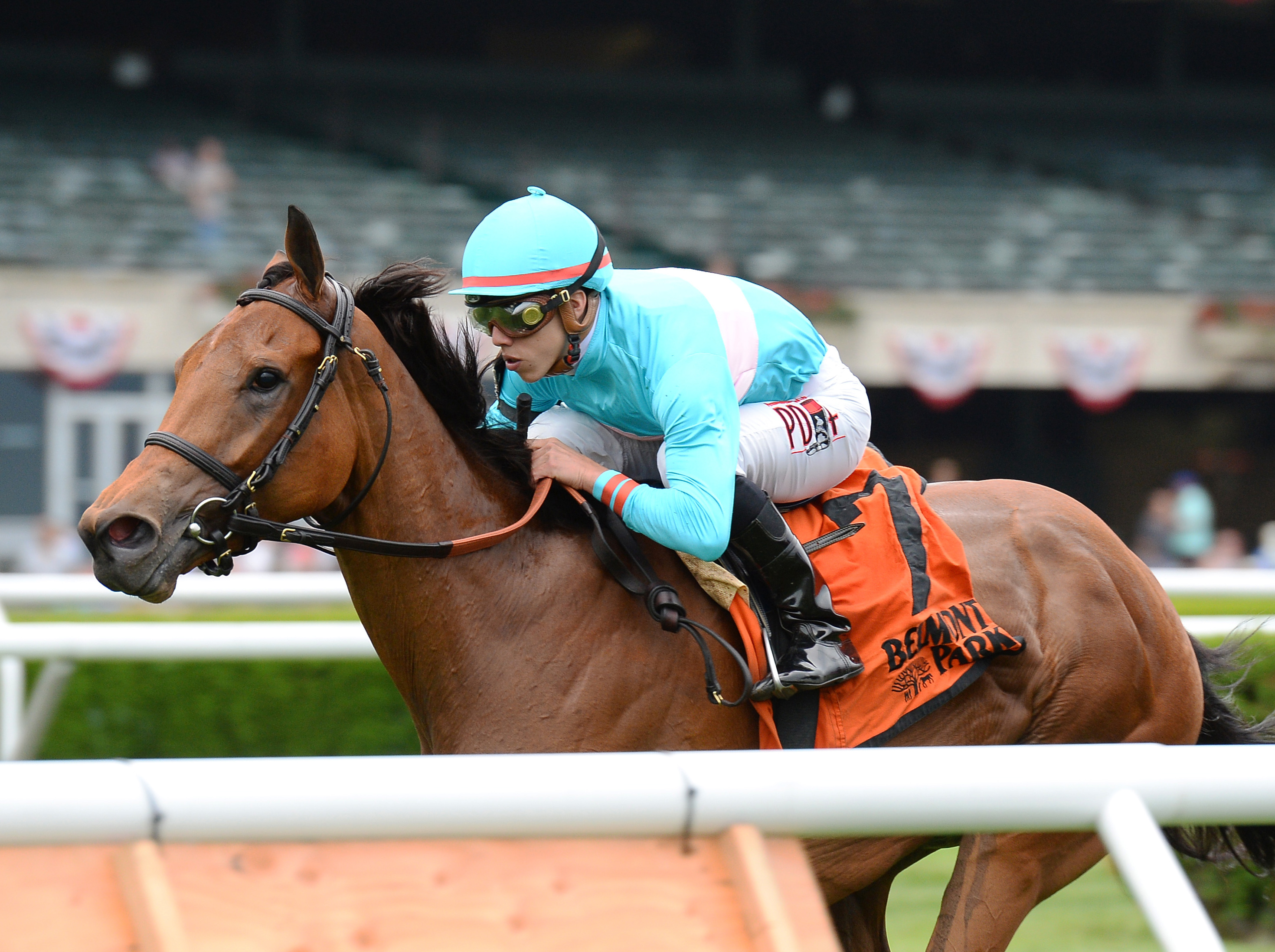 Lady Eli wins the Wonder Again