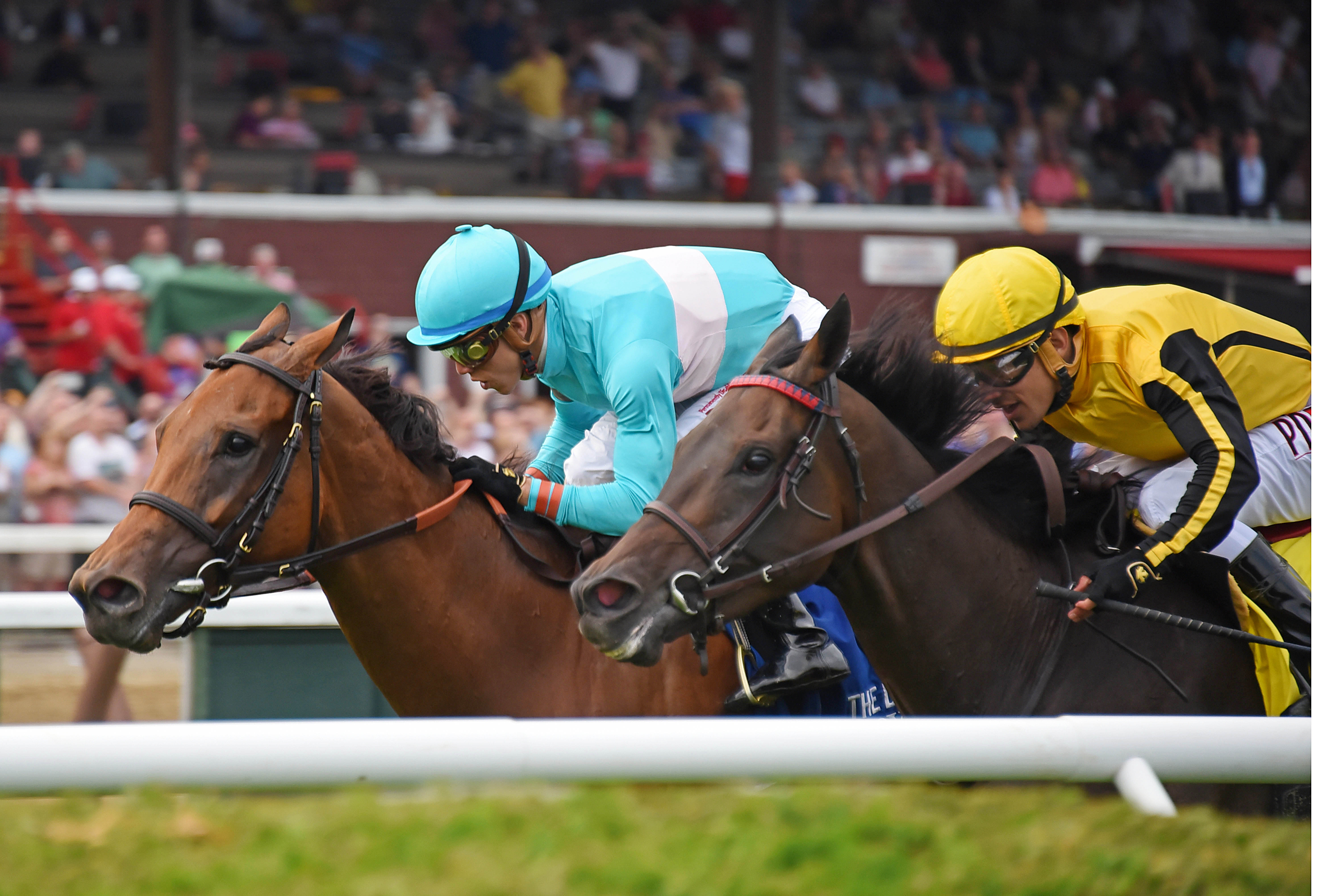 Lady Eli wins the 2017 Diana Stakes