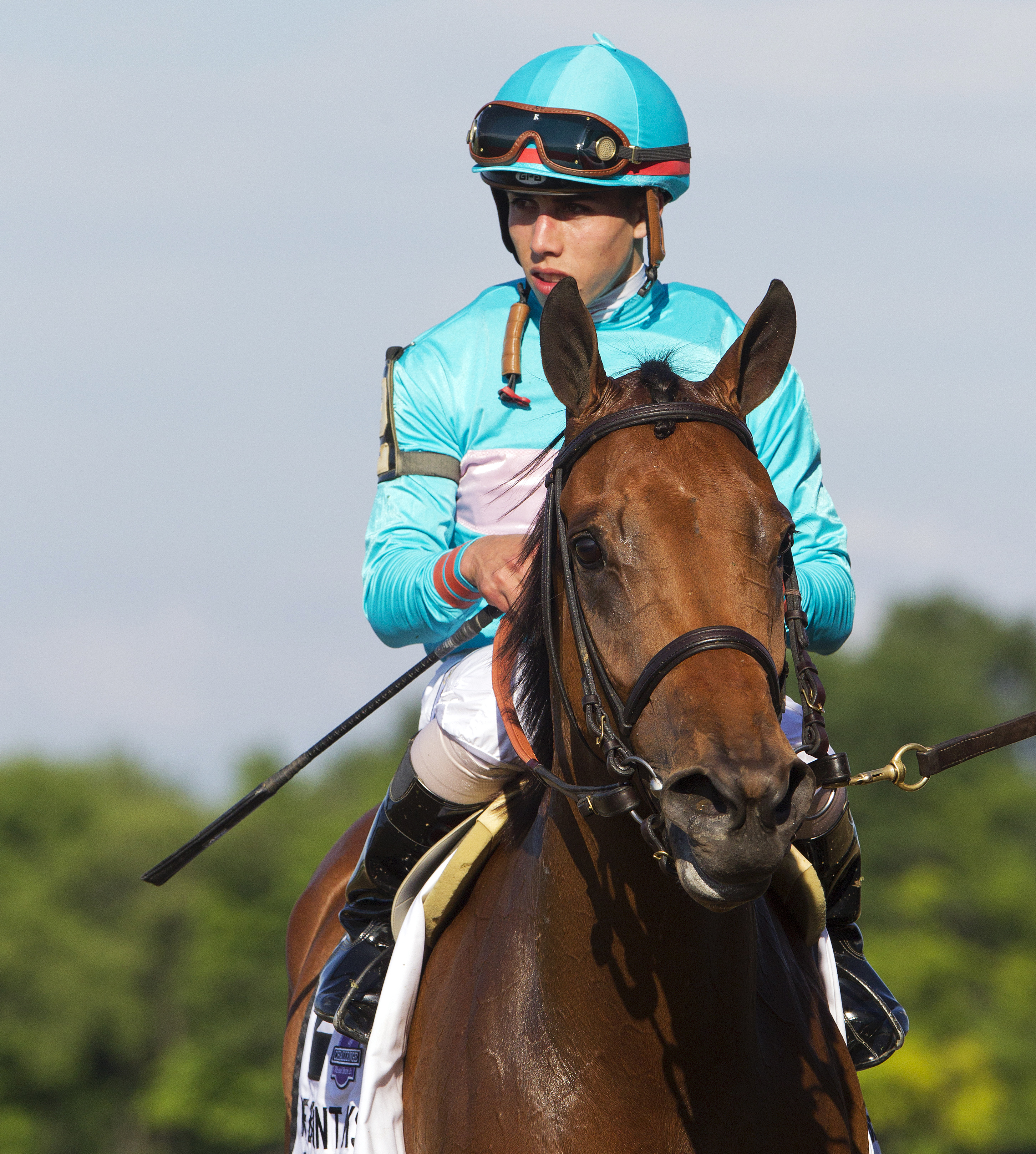 Lady Eli at the Belmont Oaks