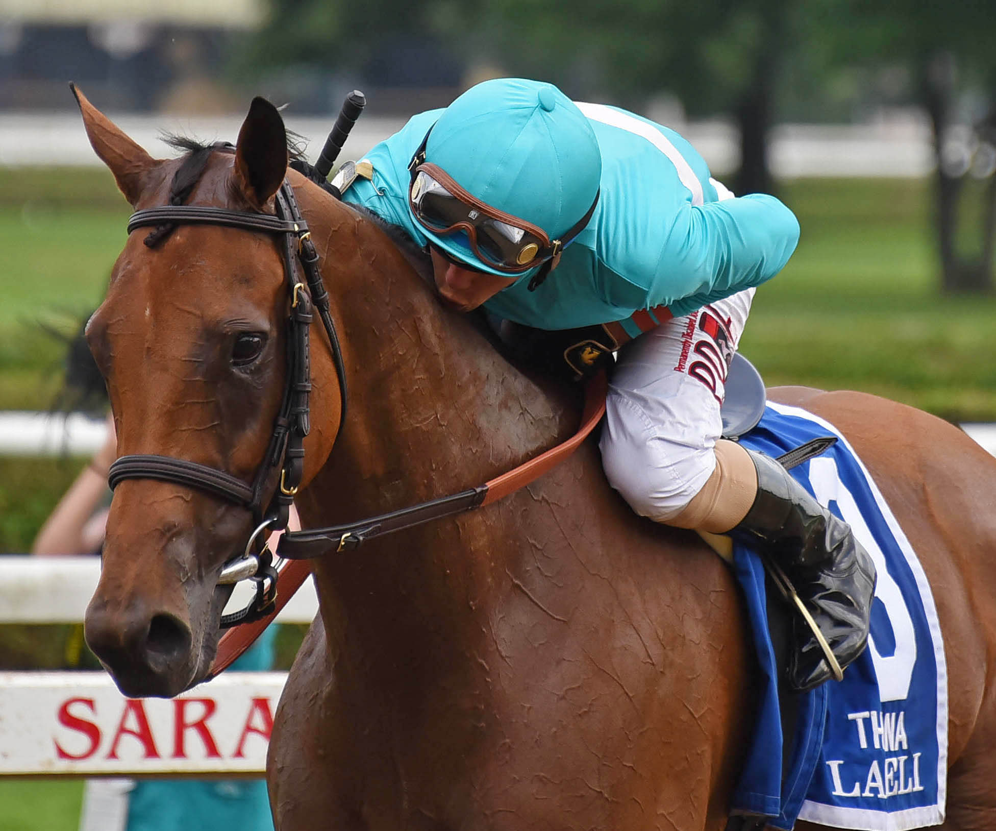Lady Eli after winning the 2017 Diana Stakes