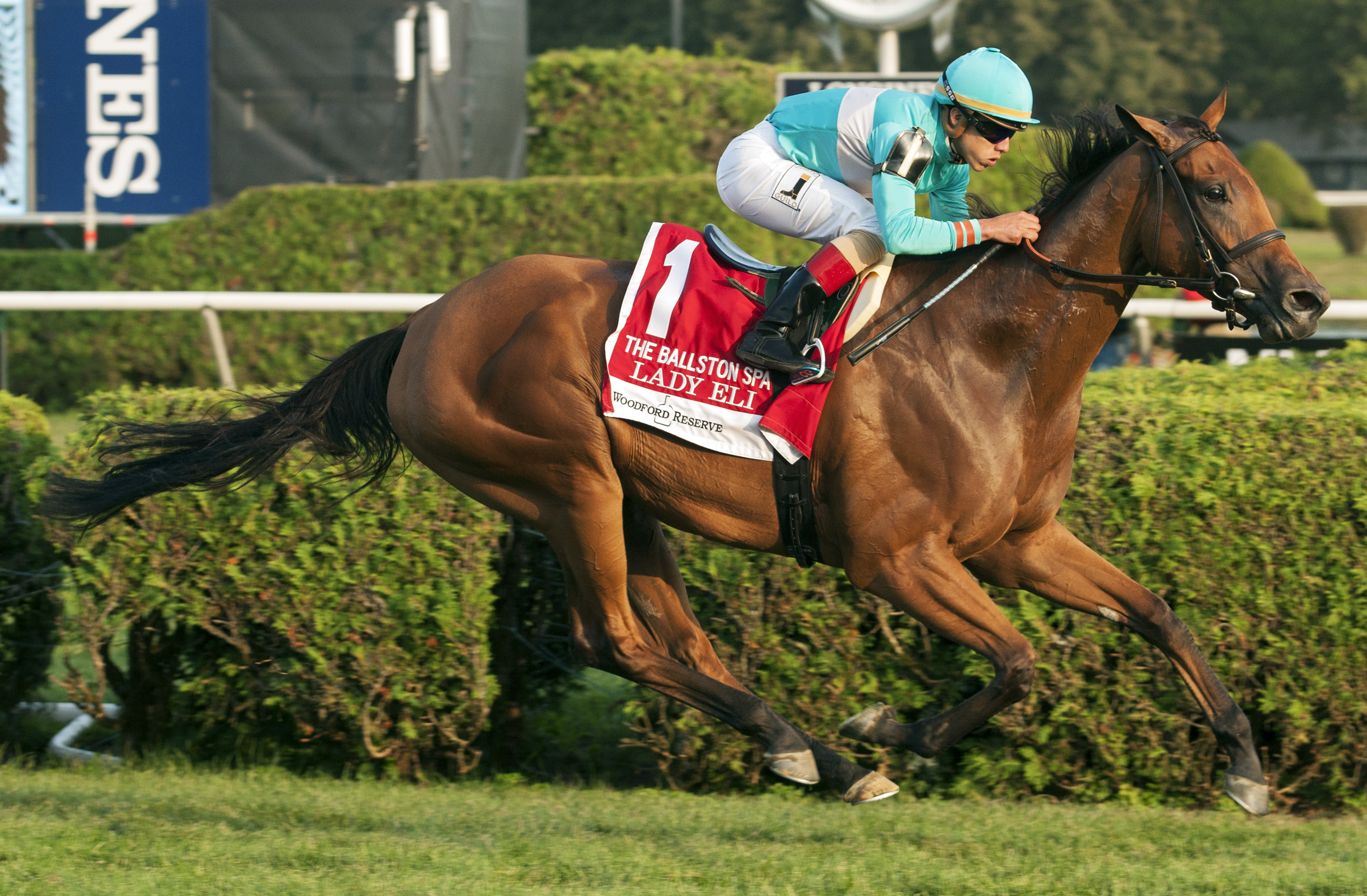 Lady Eli wins the Ballston Spa 8.26.17