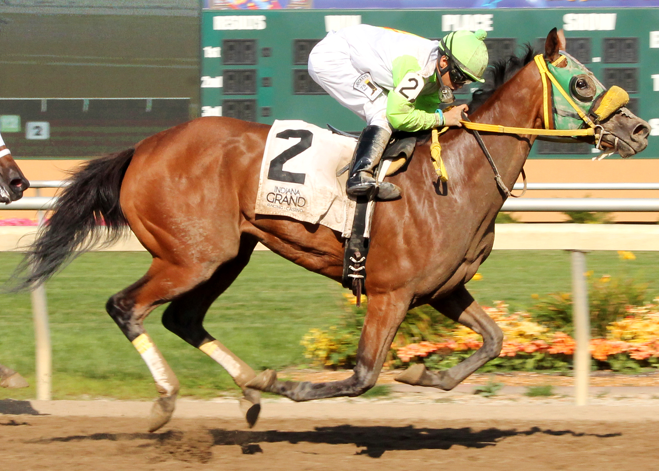 Lady Fog Horn wins the Indiana First Lady