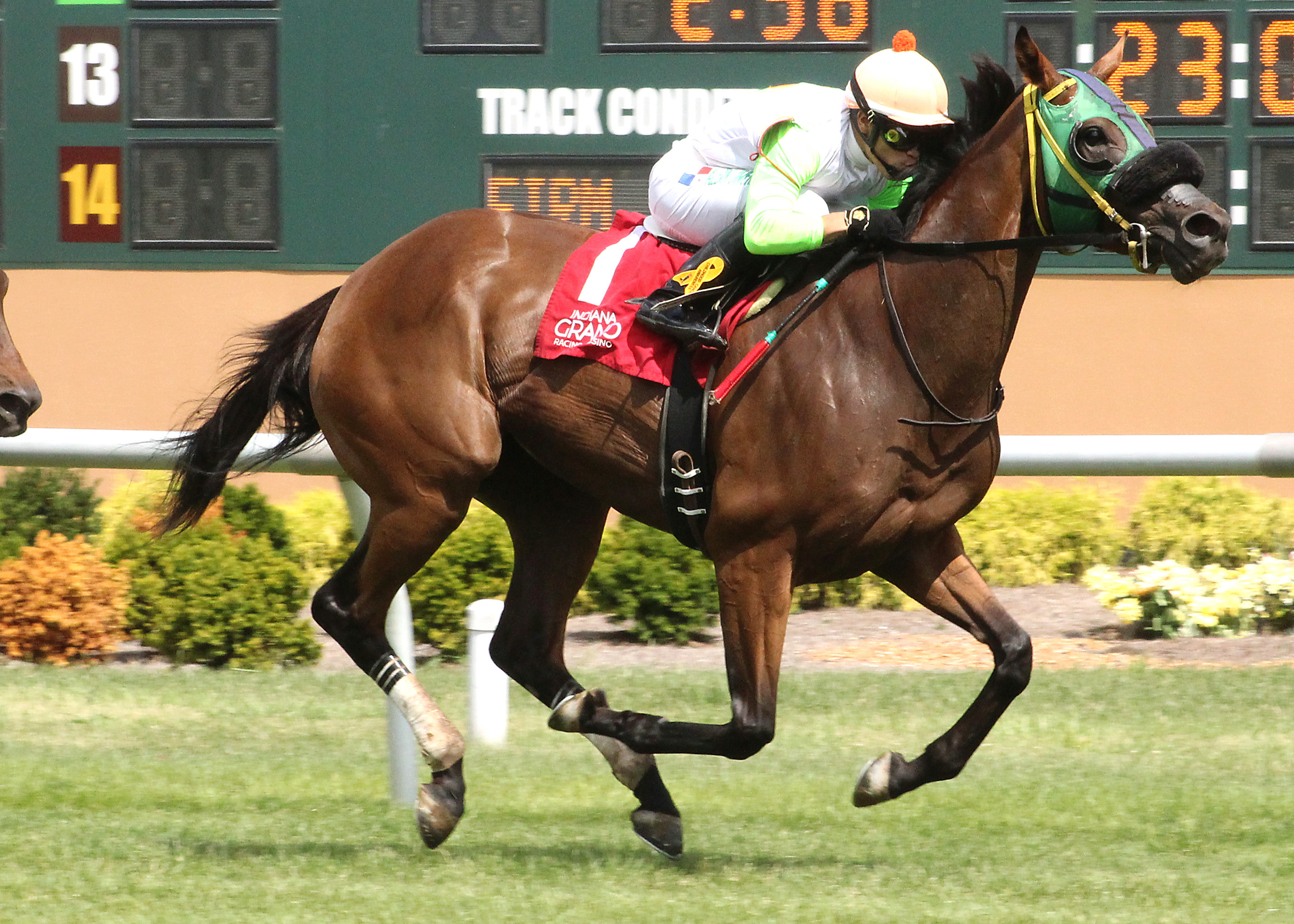 Lady Fog Horn wins the Florence Henderson Stakes