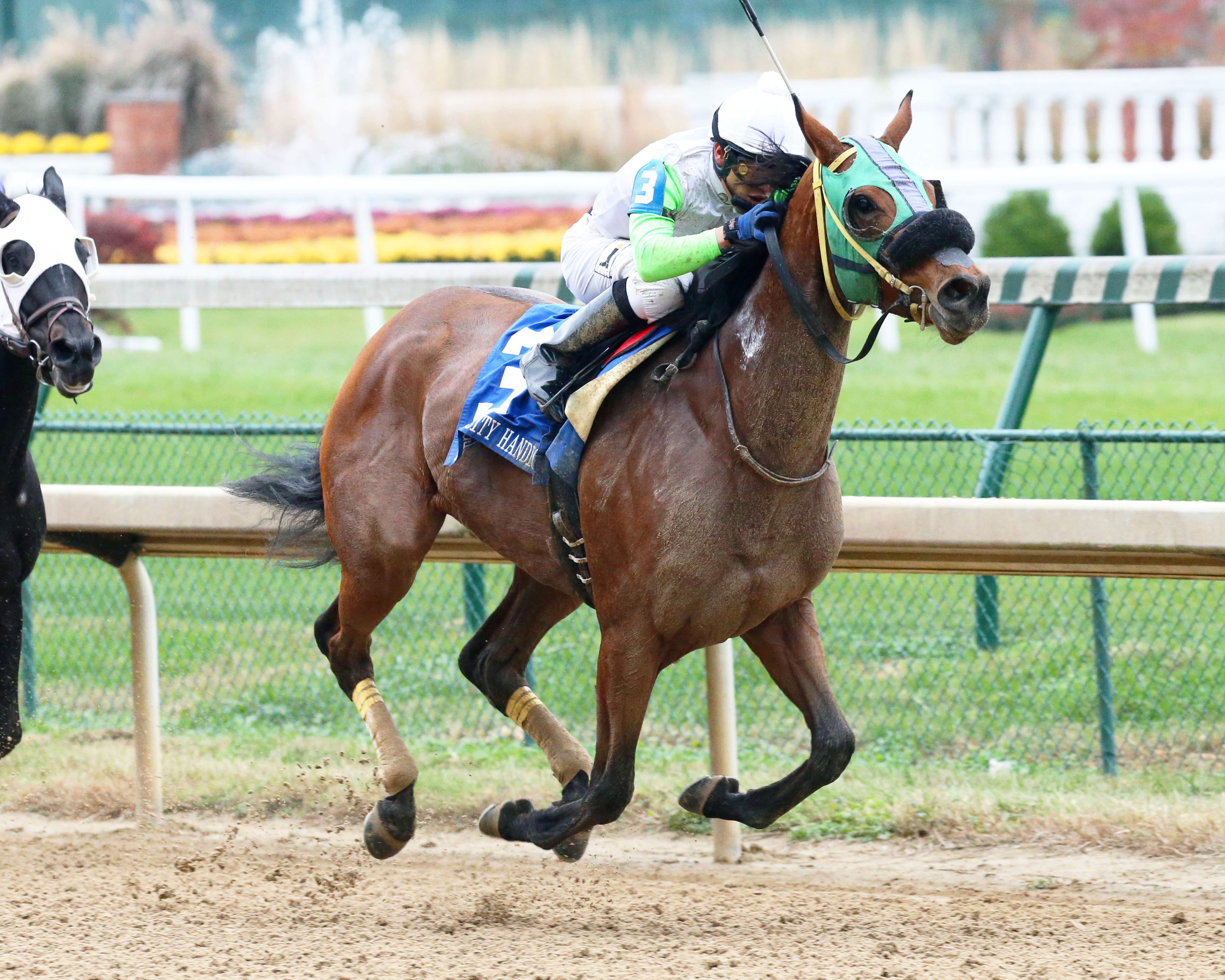 Lady Fog Horn wins the 2016 Falls City Handicap