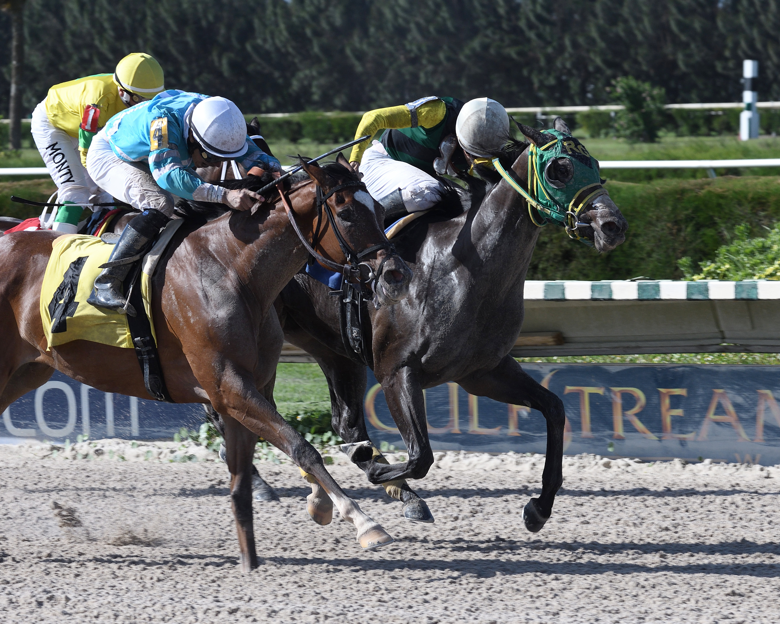 Lady Freedom wins an Oct. 11 allowance race