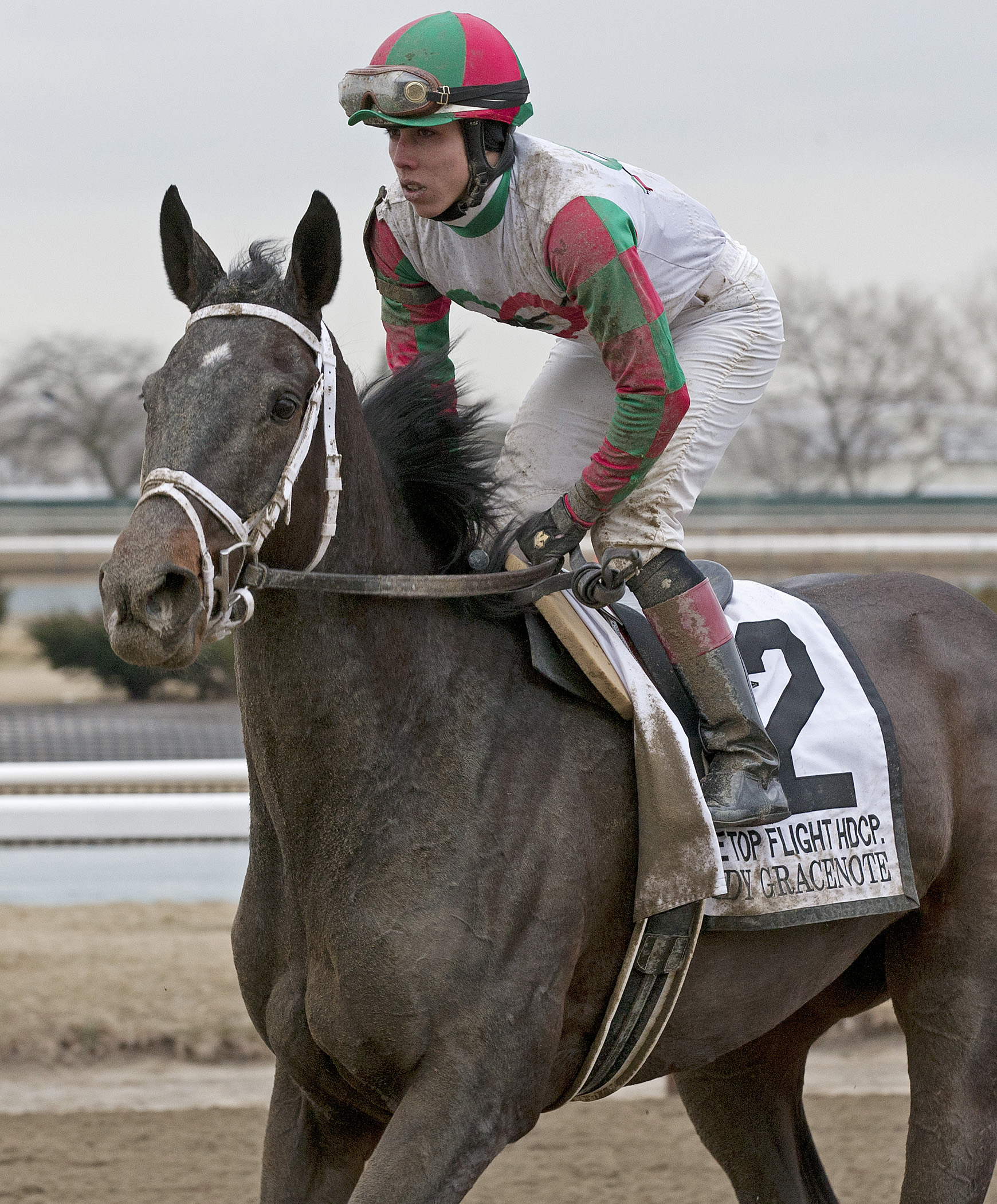 Lady Gracenote at the Top Flight Handicap