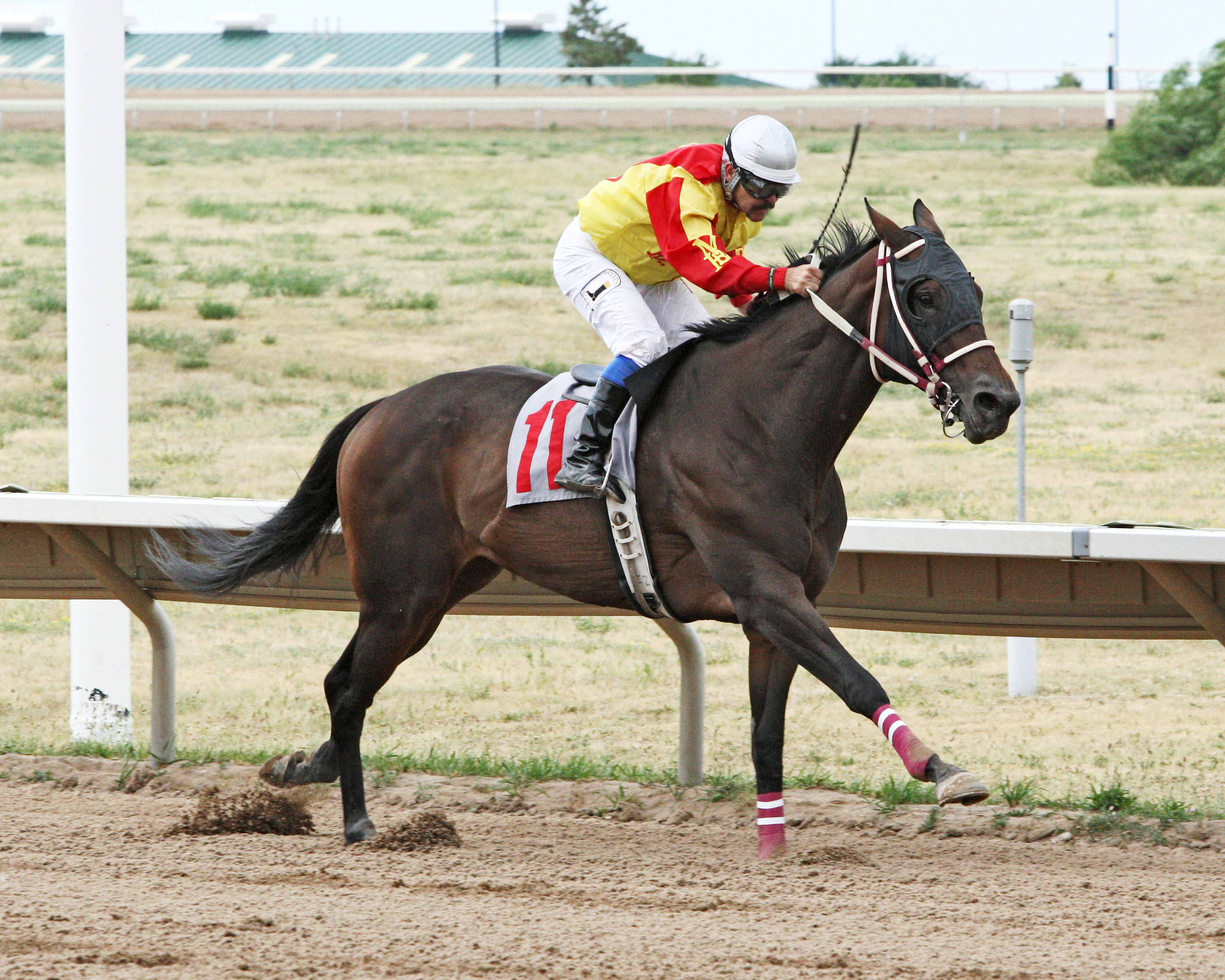 Lady Jila wins the 2016 Columbine Stakes