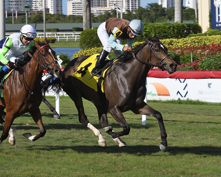 Lady Joan wins an April 13 allowance race