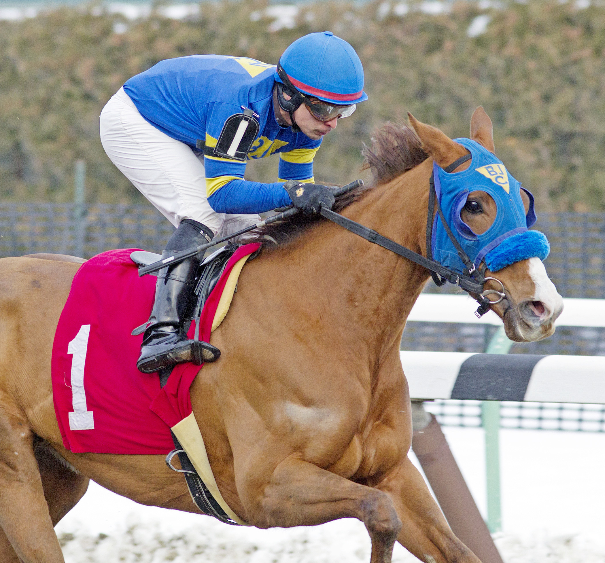 Lady Luciano wins an allowance race