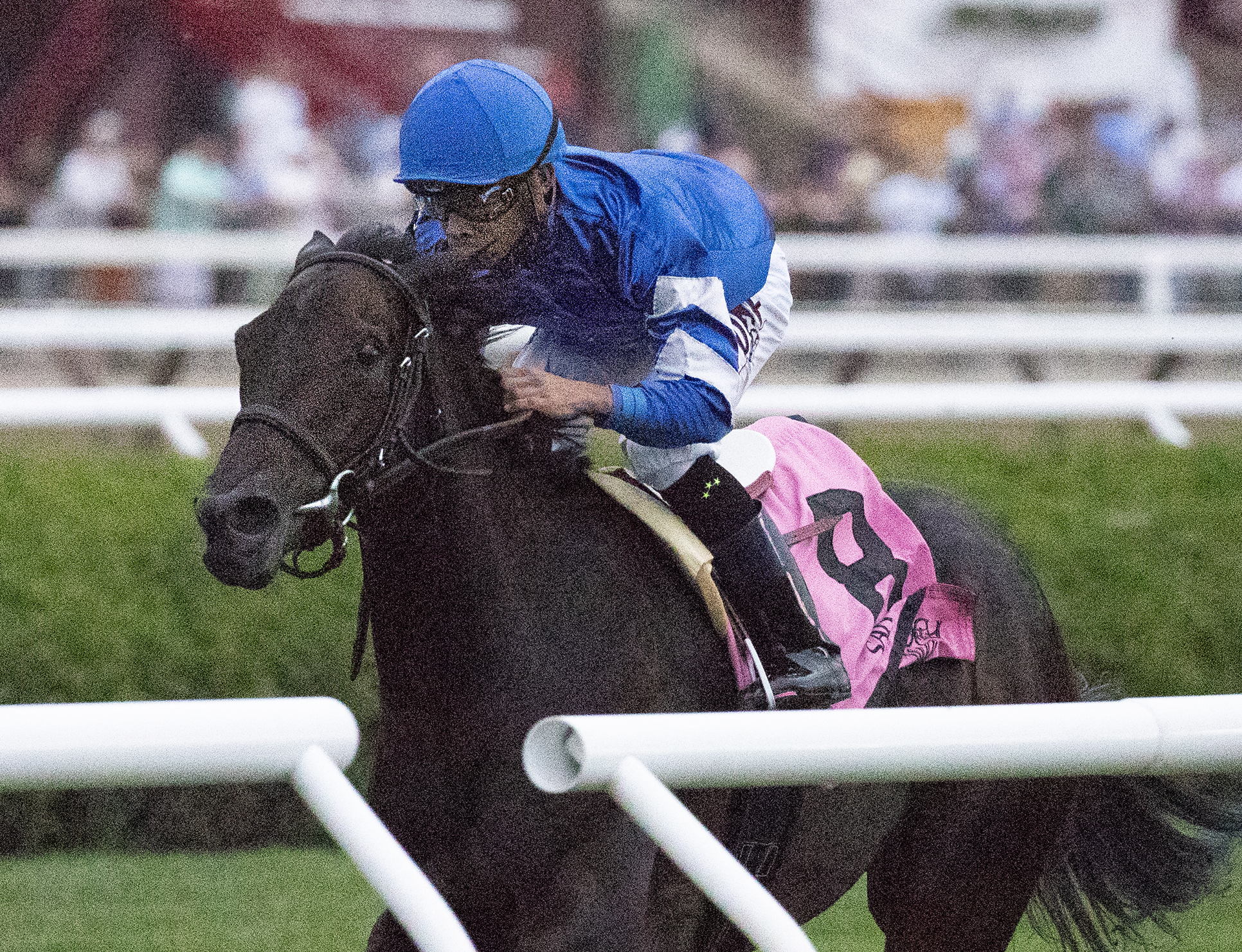 Lady Montdore wins the 2018 Glens Falls
