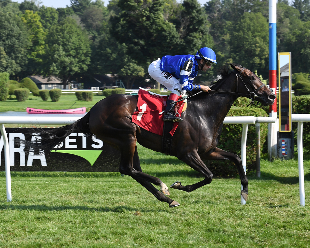 Lady Montdore wins an Aug. 6 allowance at Saratoga