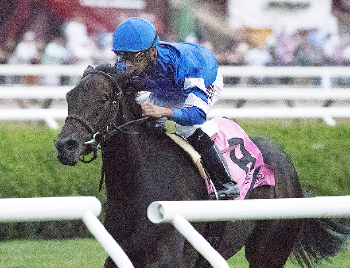 Lady Montdore wins the 2018 Glens Falls