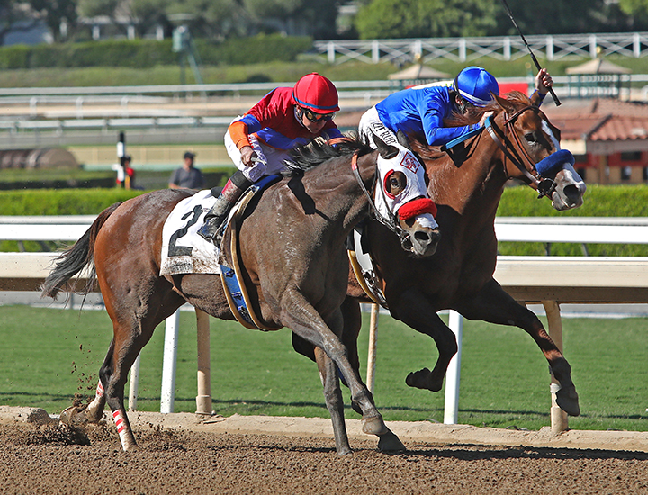 Lady Ninja (left) wins the 2019 L.A. Woman Stakes at Santa Anita Park