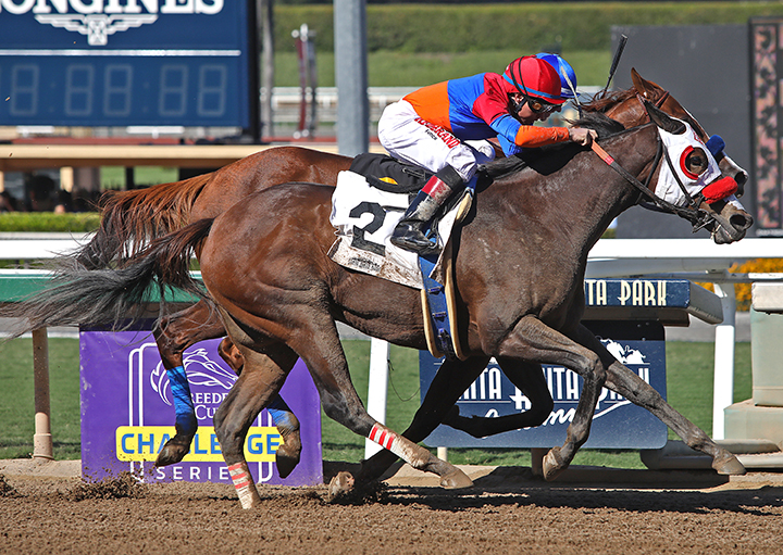 Lady Ninja (No. 2) wins the 2019 L.A. Woman Stakes at Santa Anita Park