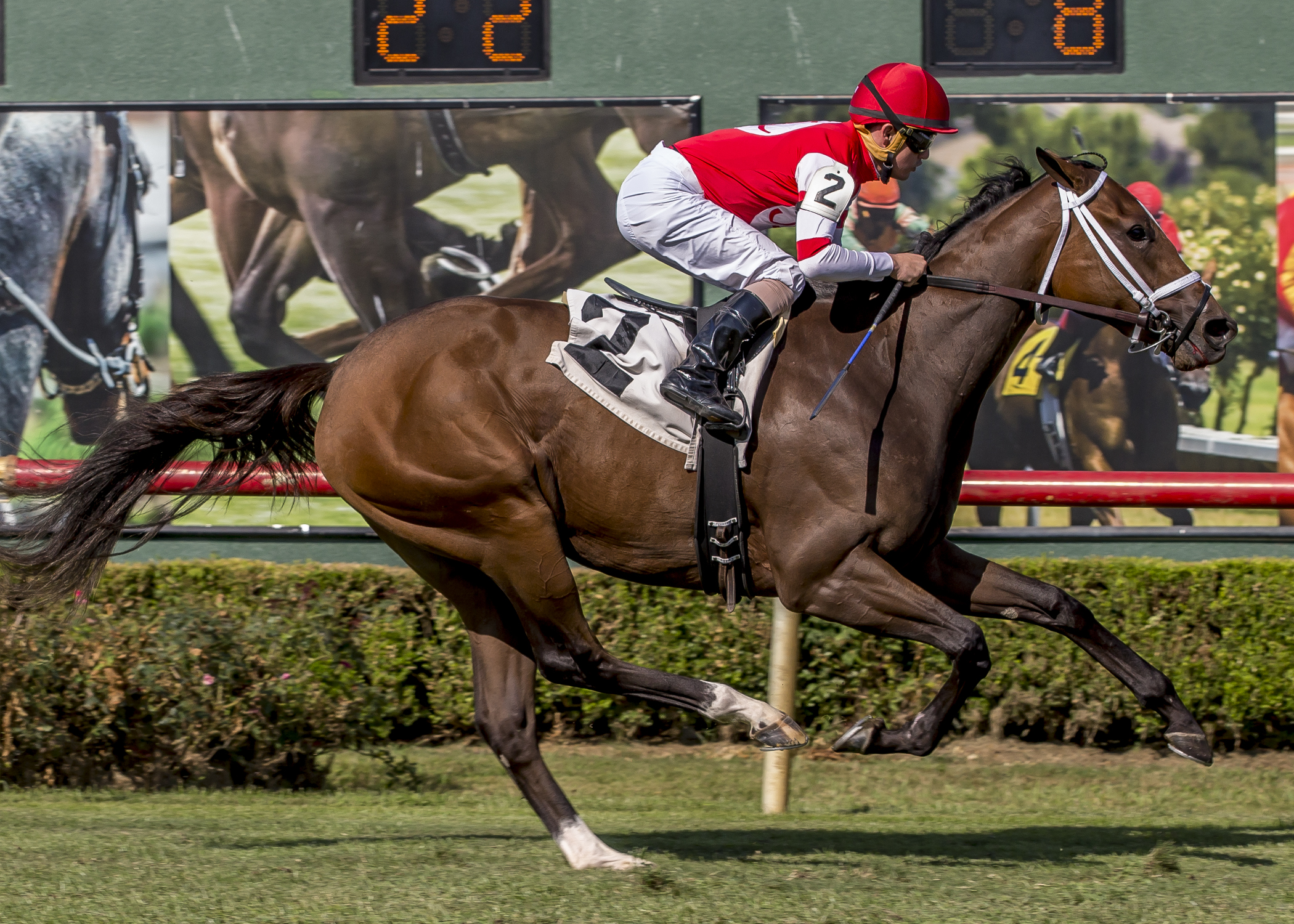 Lady OToole wins the 2017 Happy Ticket Stakes