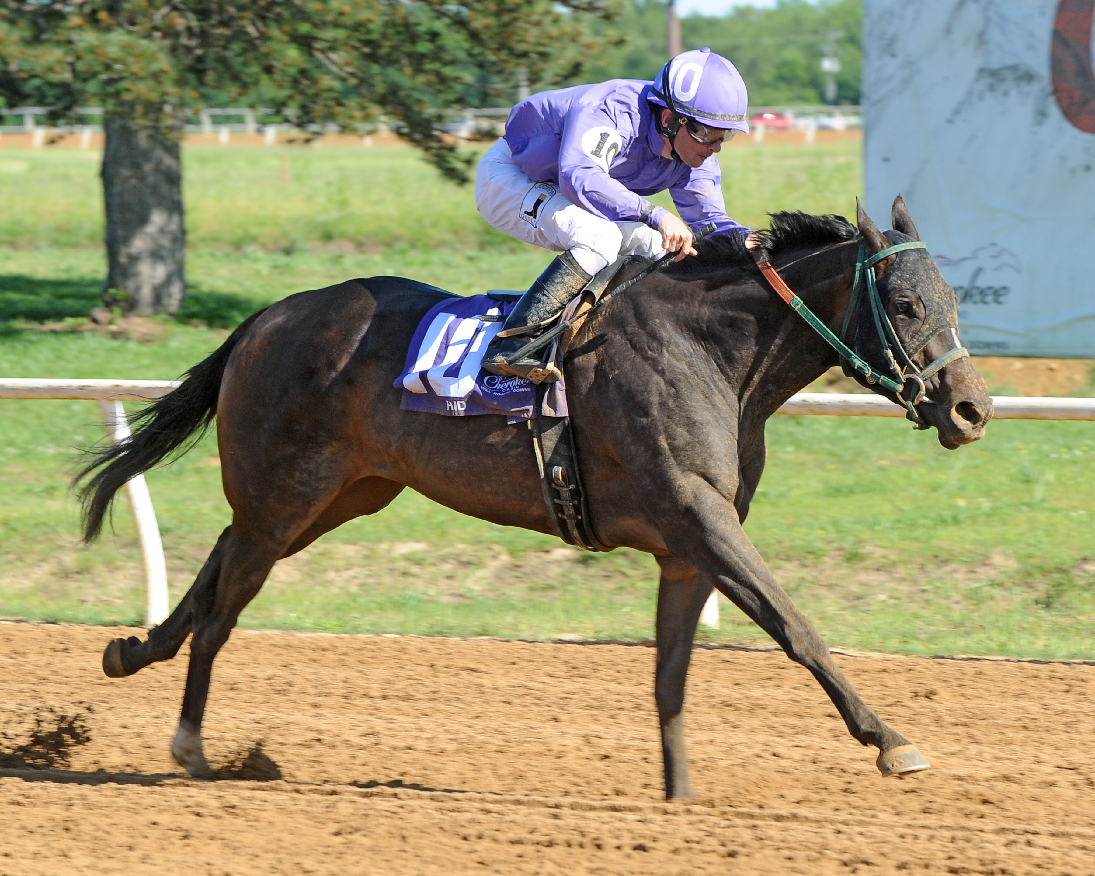Lady Orchid/More Than Even Stakes