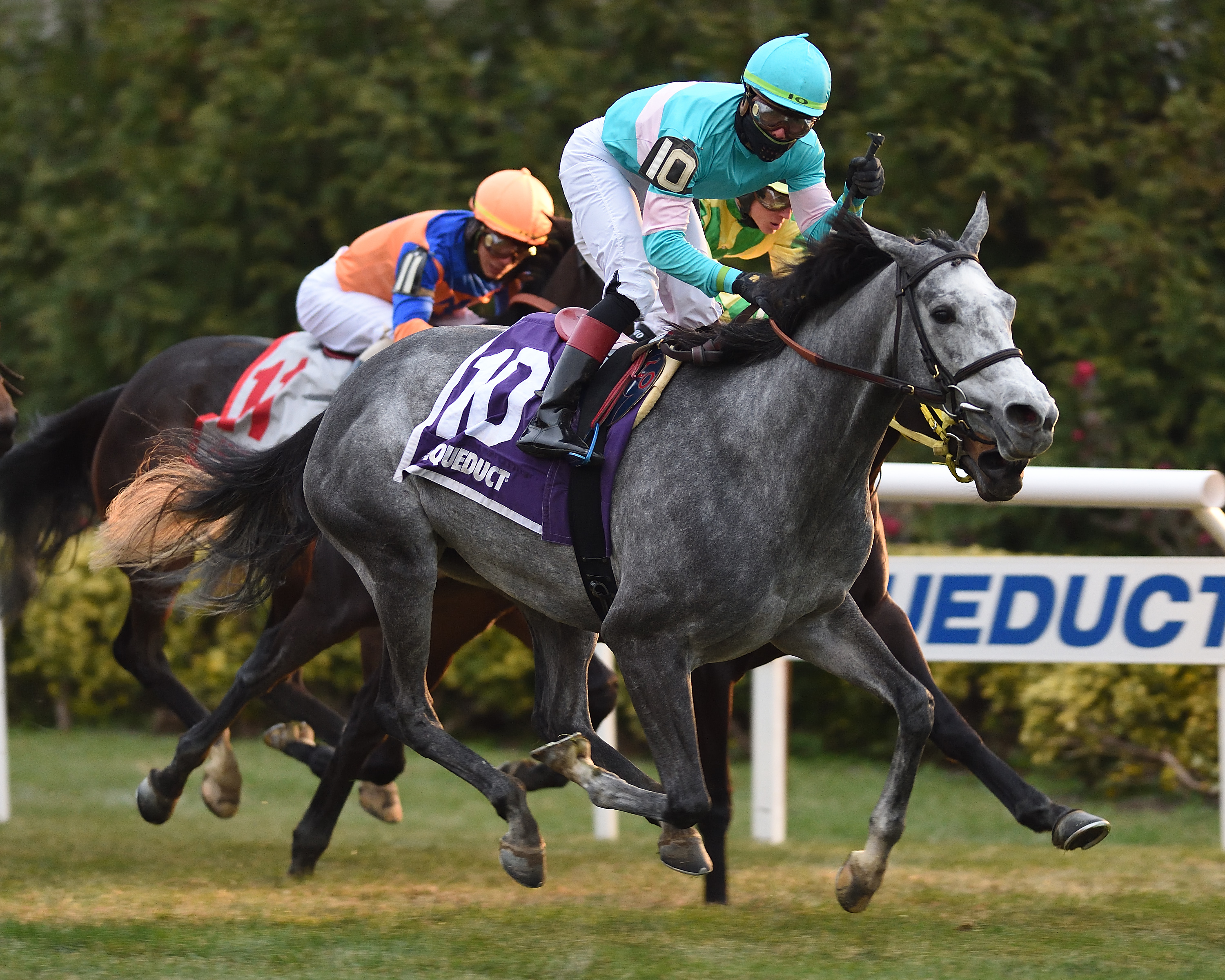 Lady Paname wins 2018 Long Island Stakes