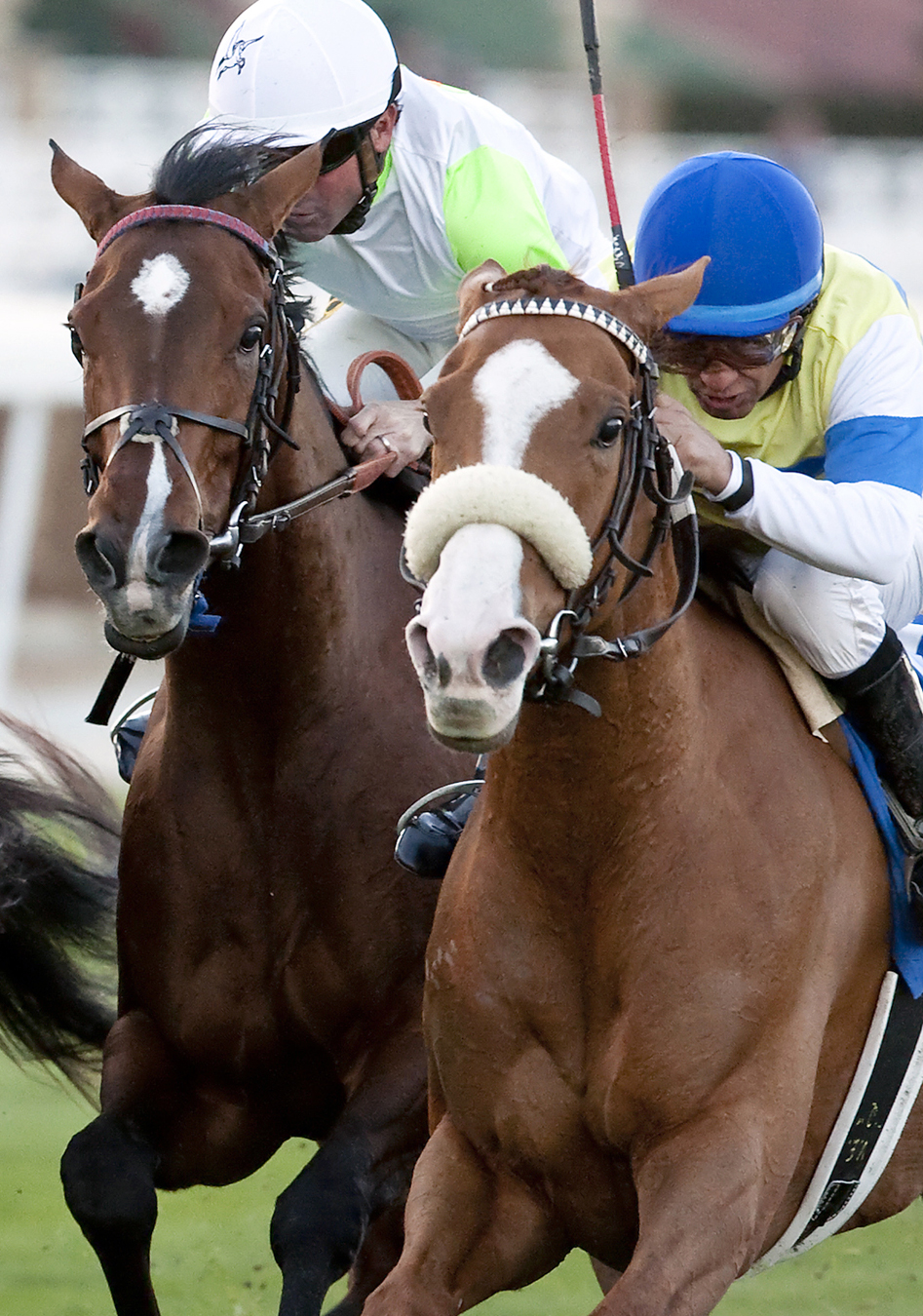 Lady Pimpernel wins the Robet J. Frankel Stakes