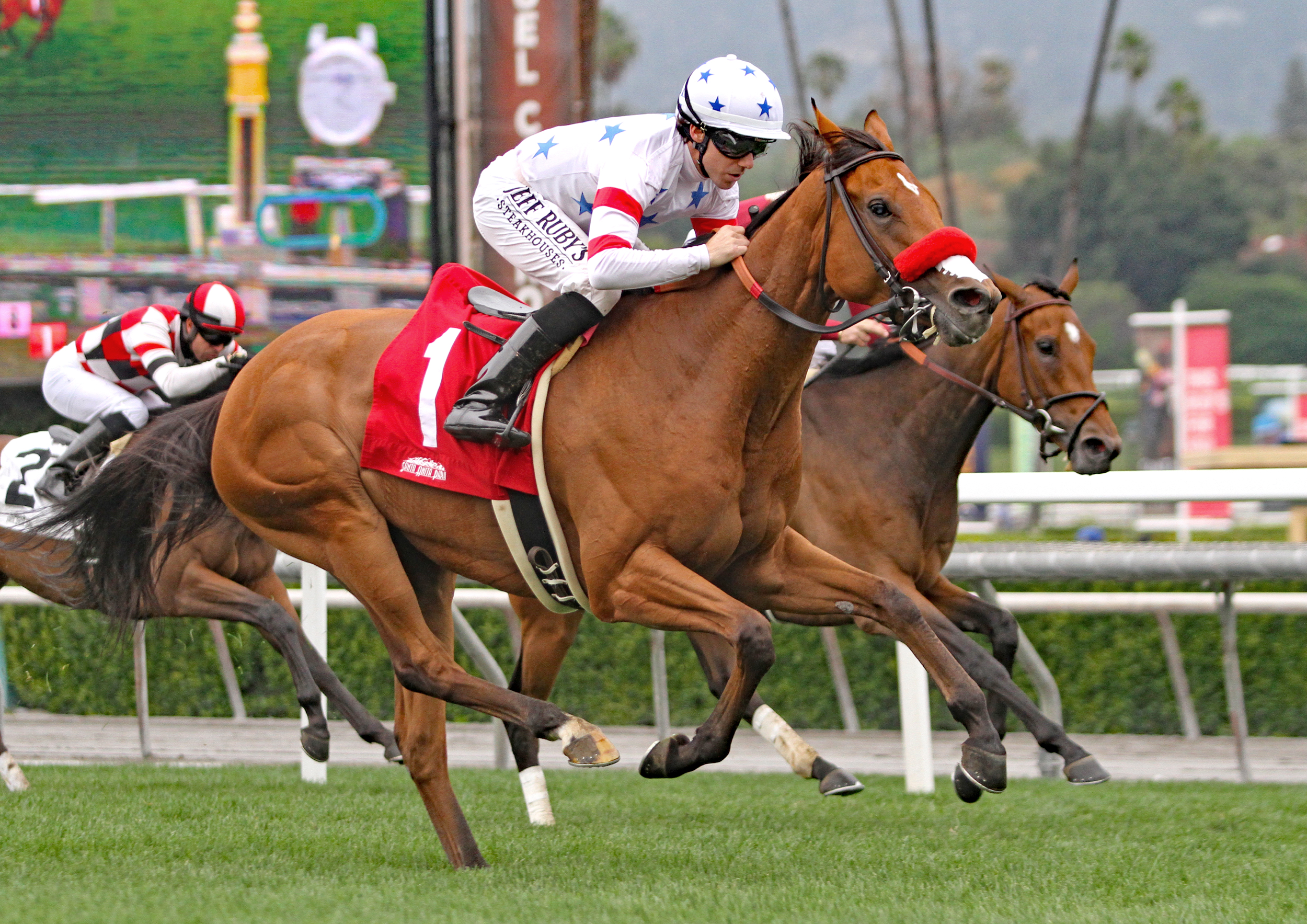 Lady Prancealot (left) wins the 2019 Honeymoon Stakes