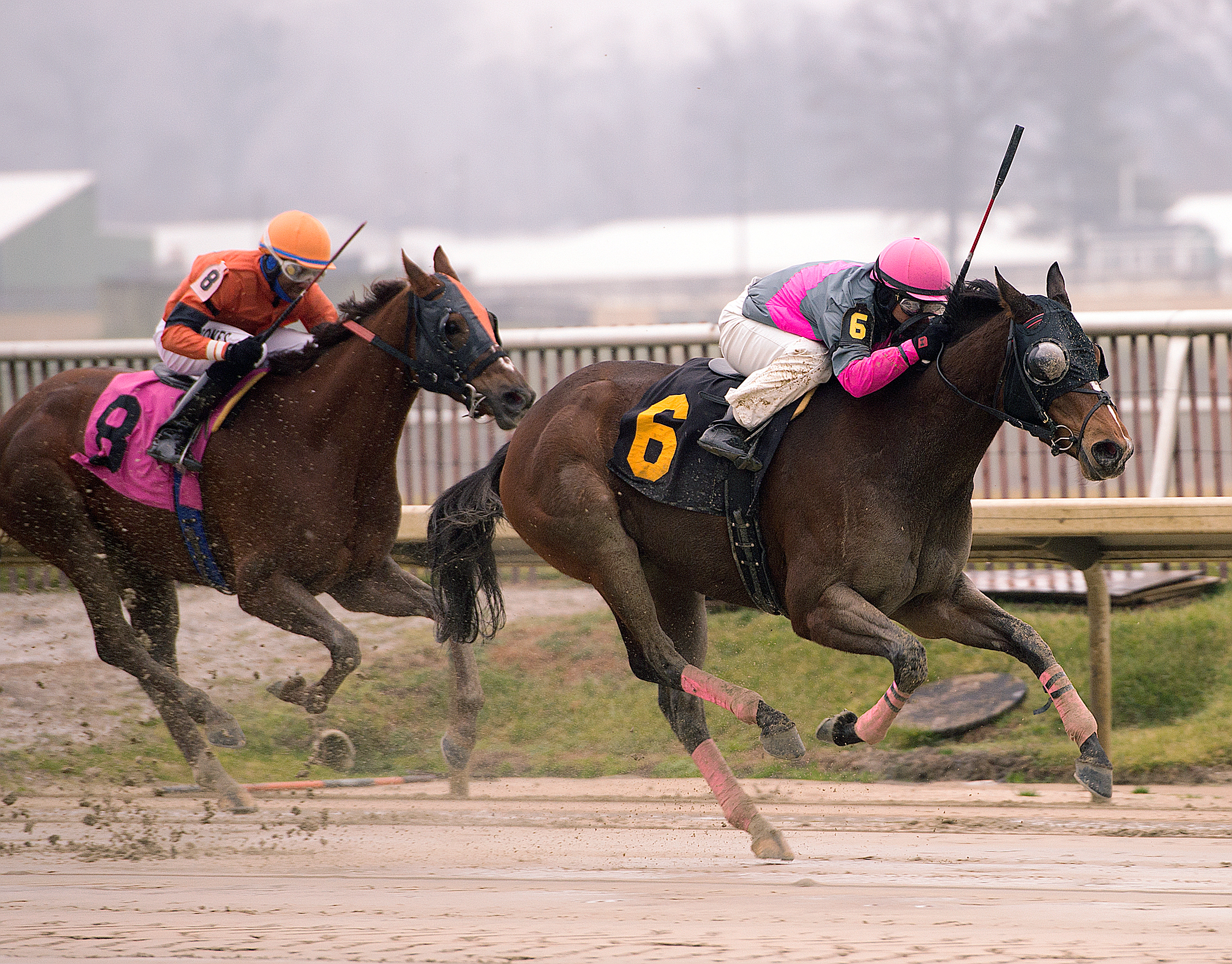 Lady Sabelia wins the What A Summer Stakes