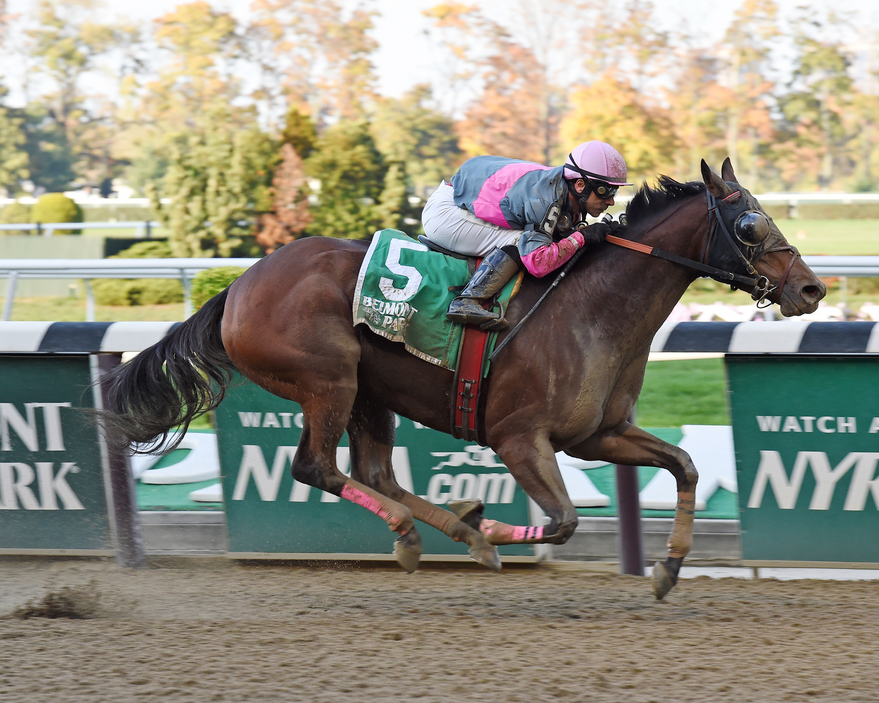 Lady Sabelia returns to score in Pumpkin Pie