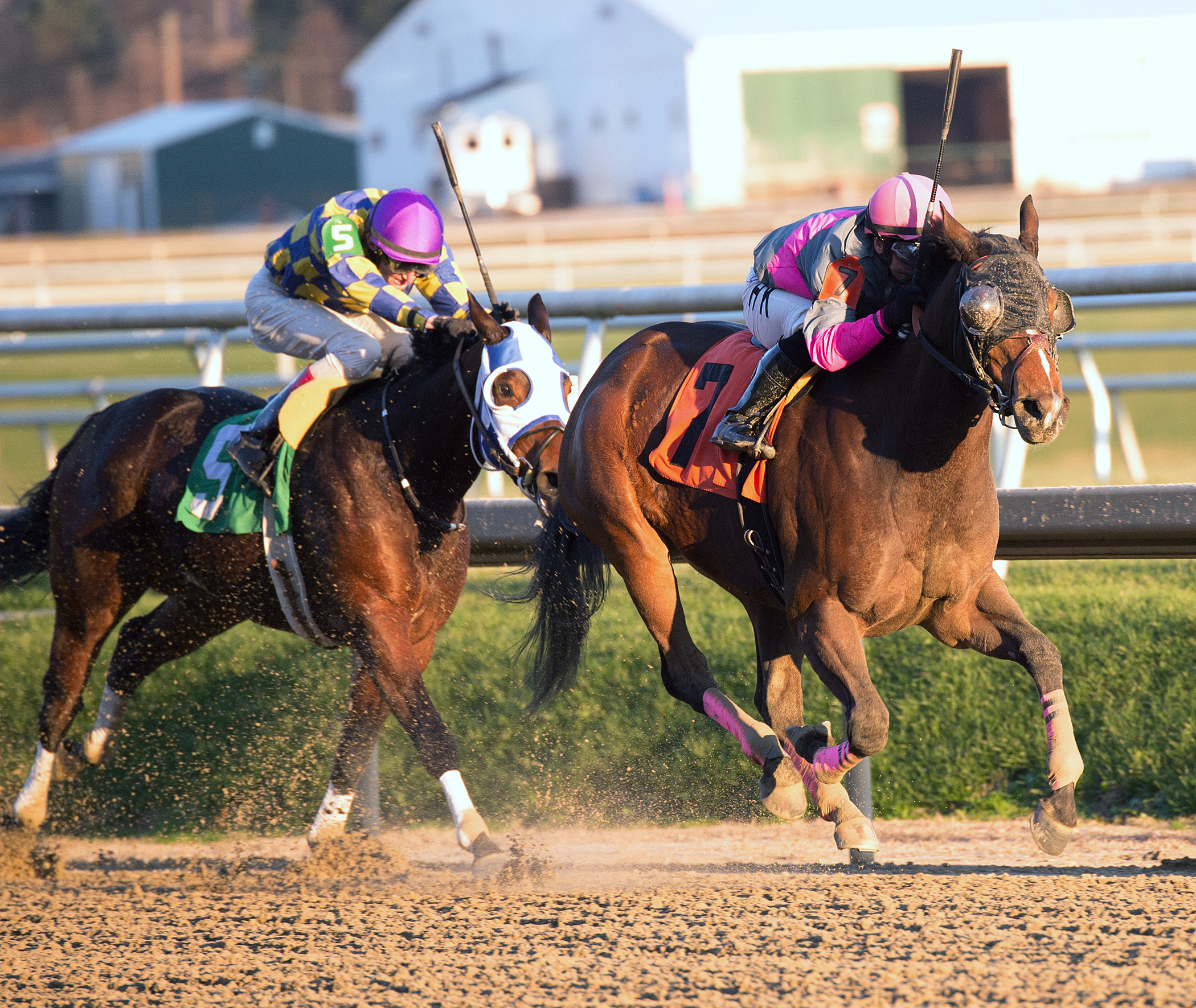 Lady Sabelia wins the Willa on the Move Stakes