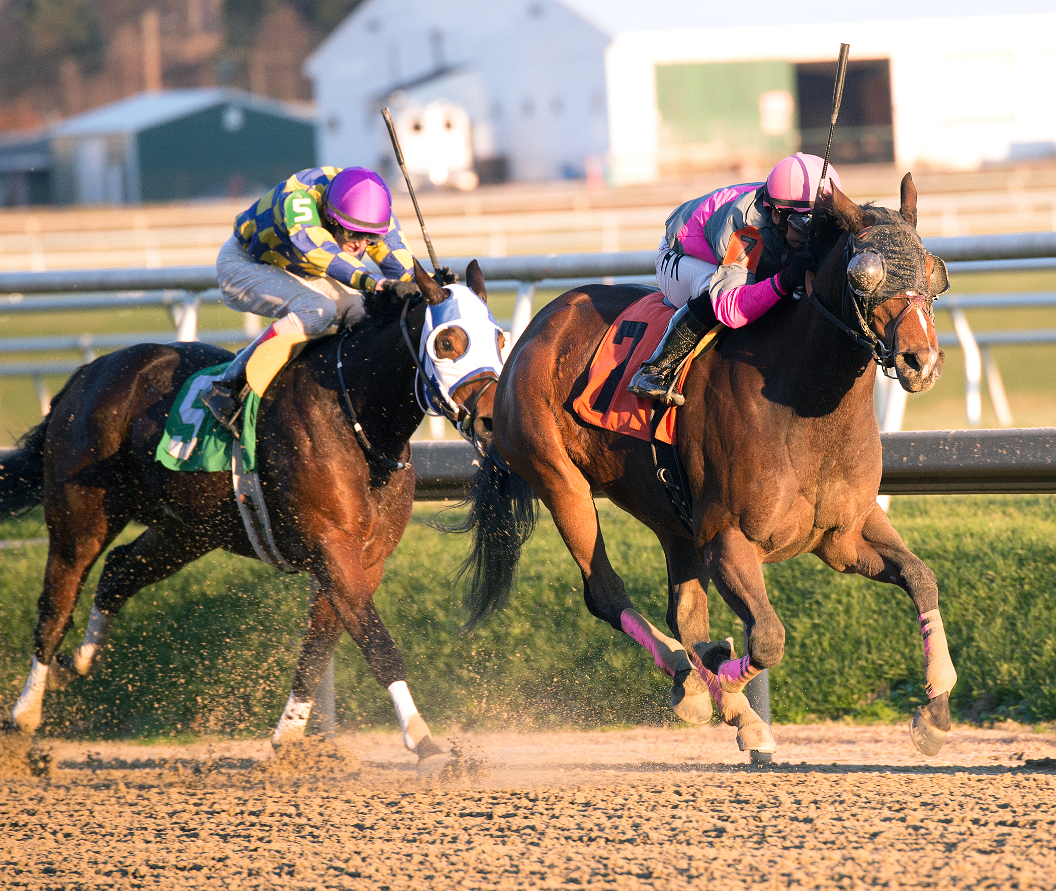 Lady Sabelia wins the Willa on the Move Stakes