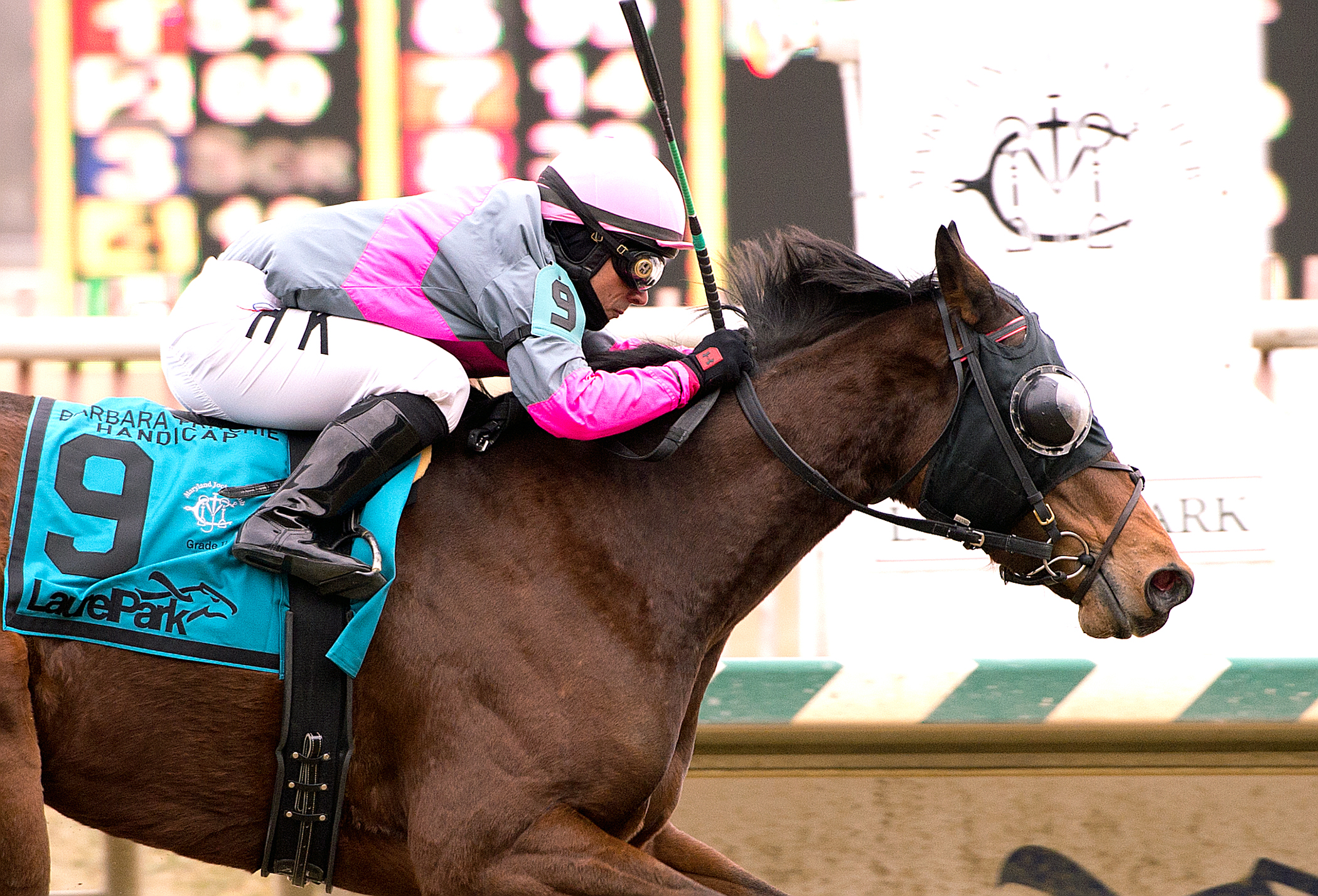 Lady Sabelia wins the Barbara Fritchie
