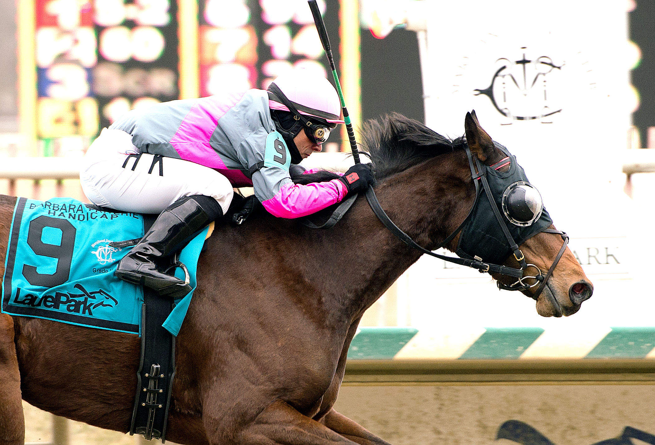 Lady Sabelia wins the Barbara Fritchie Handicap