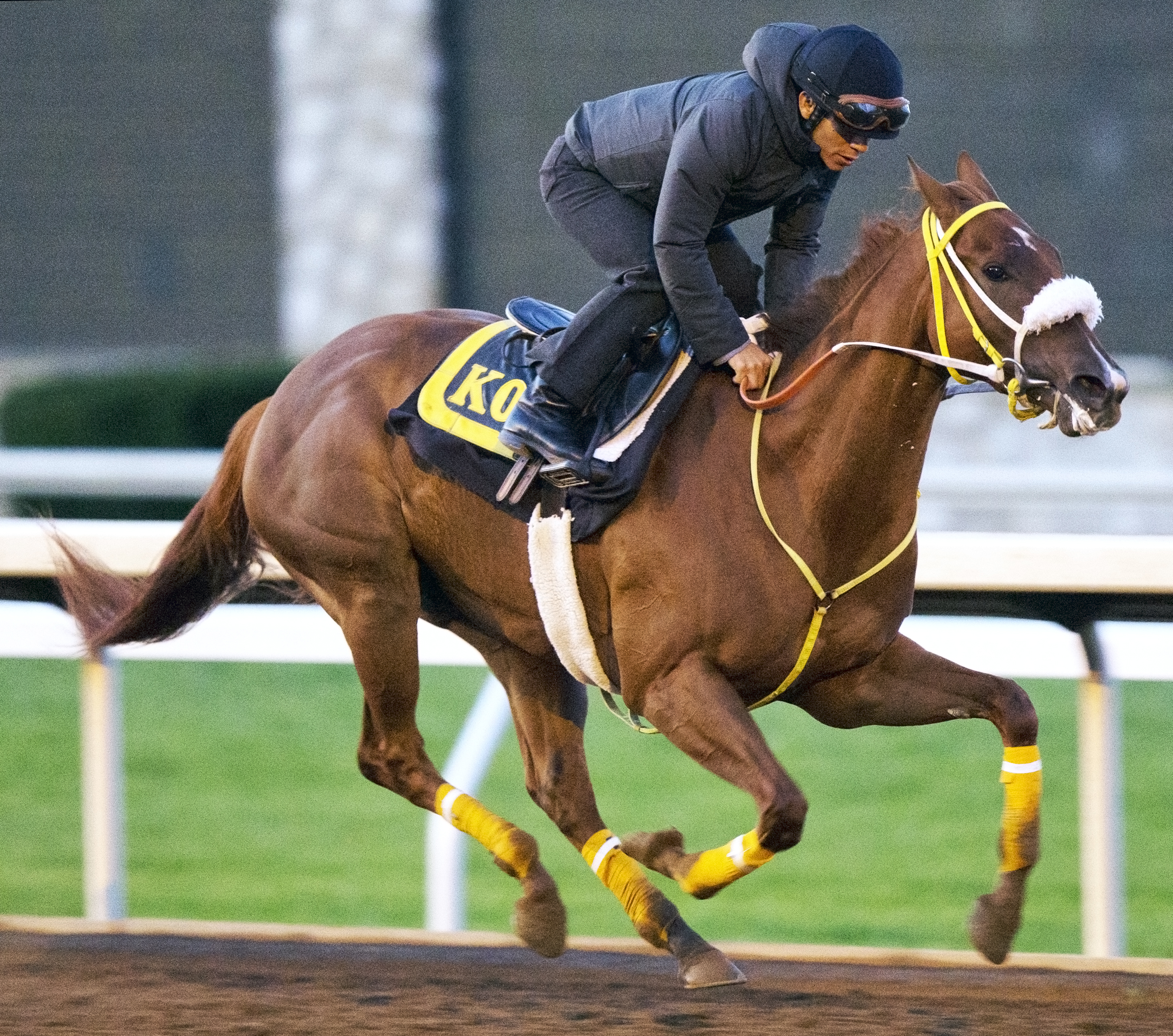 Lady Shipman trains at Keeneland on Oct. 22