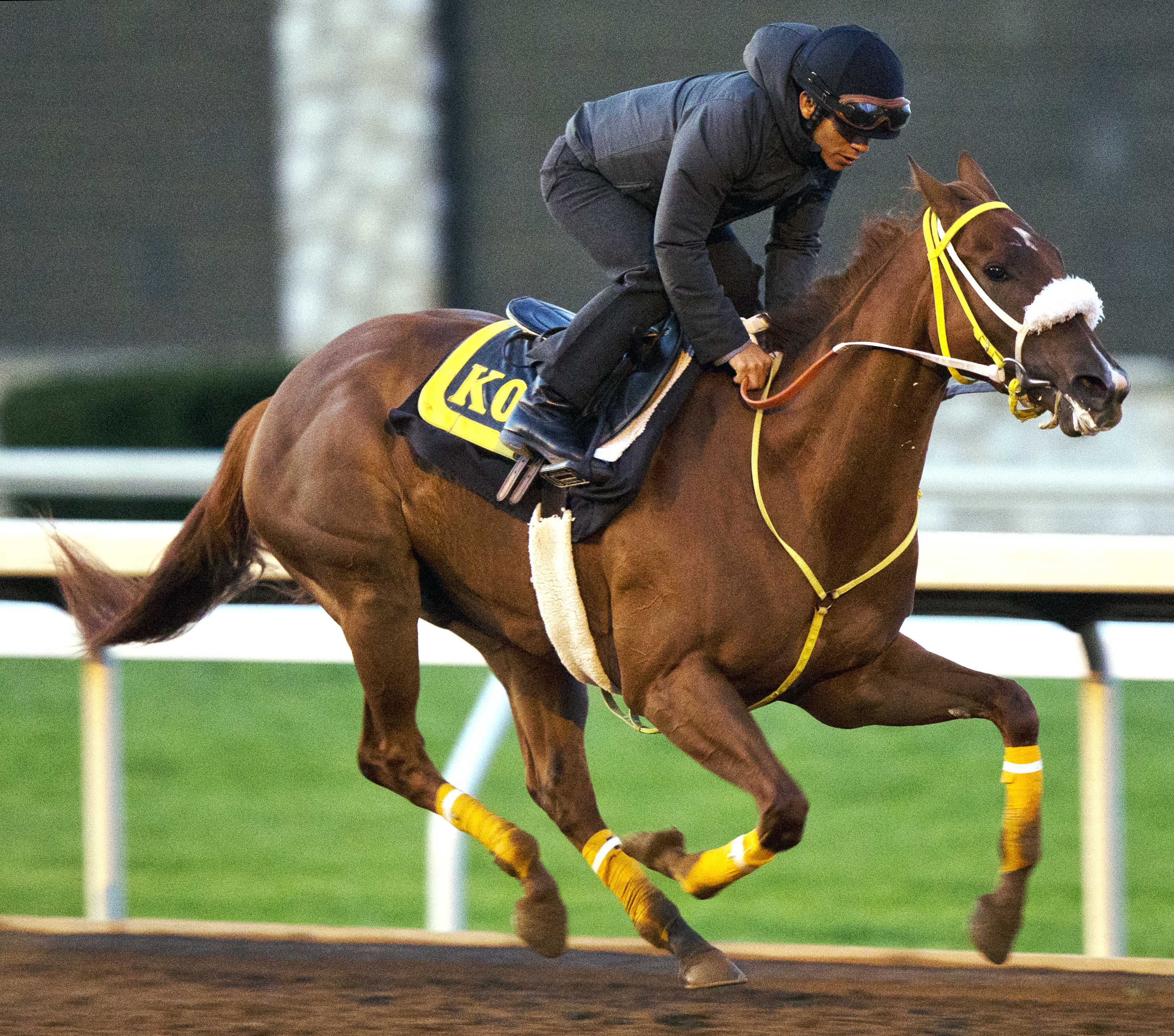Lady Shipman trains at Keeneland on Oct. 22