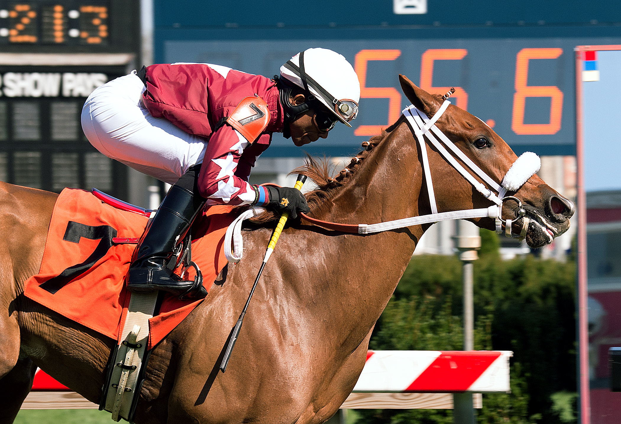 Lady Shipman wins the Stormy Blues