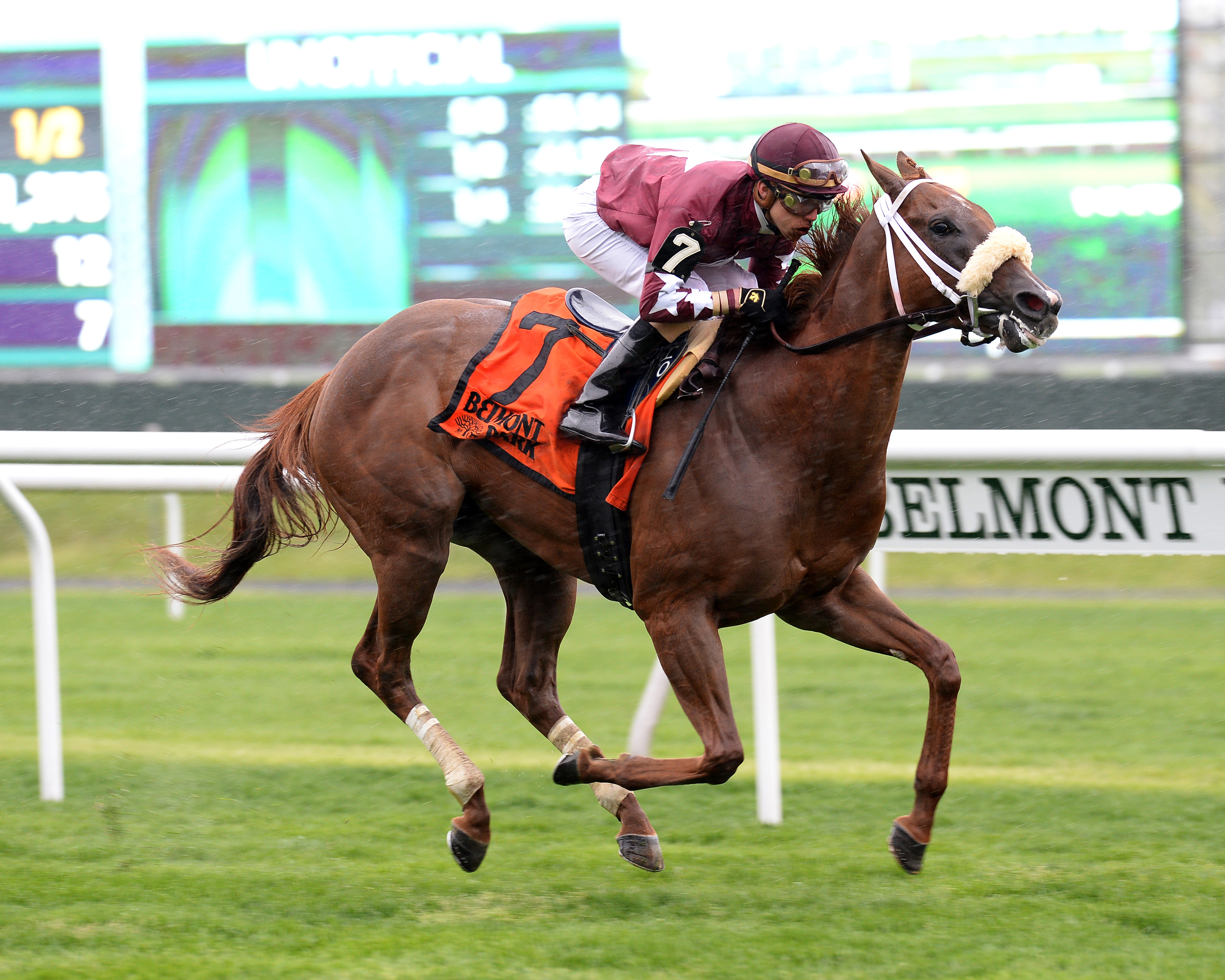 Lady Shipman wins the License Fee Stakes