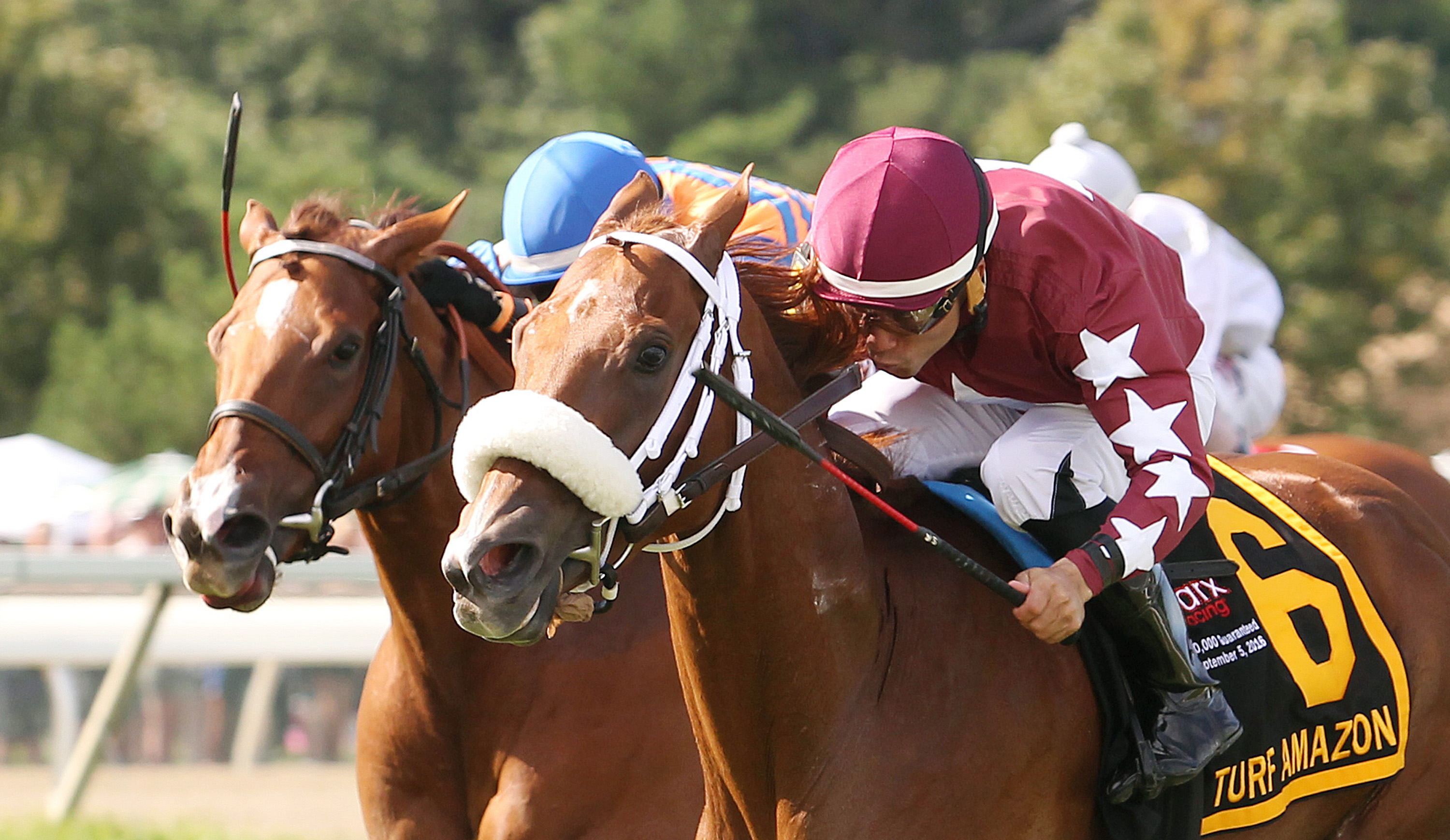 Lady Shipman wins the Turf Amazon Stakes