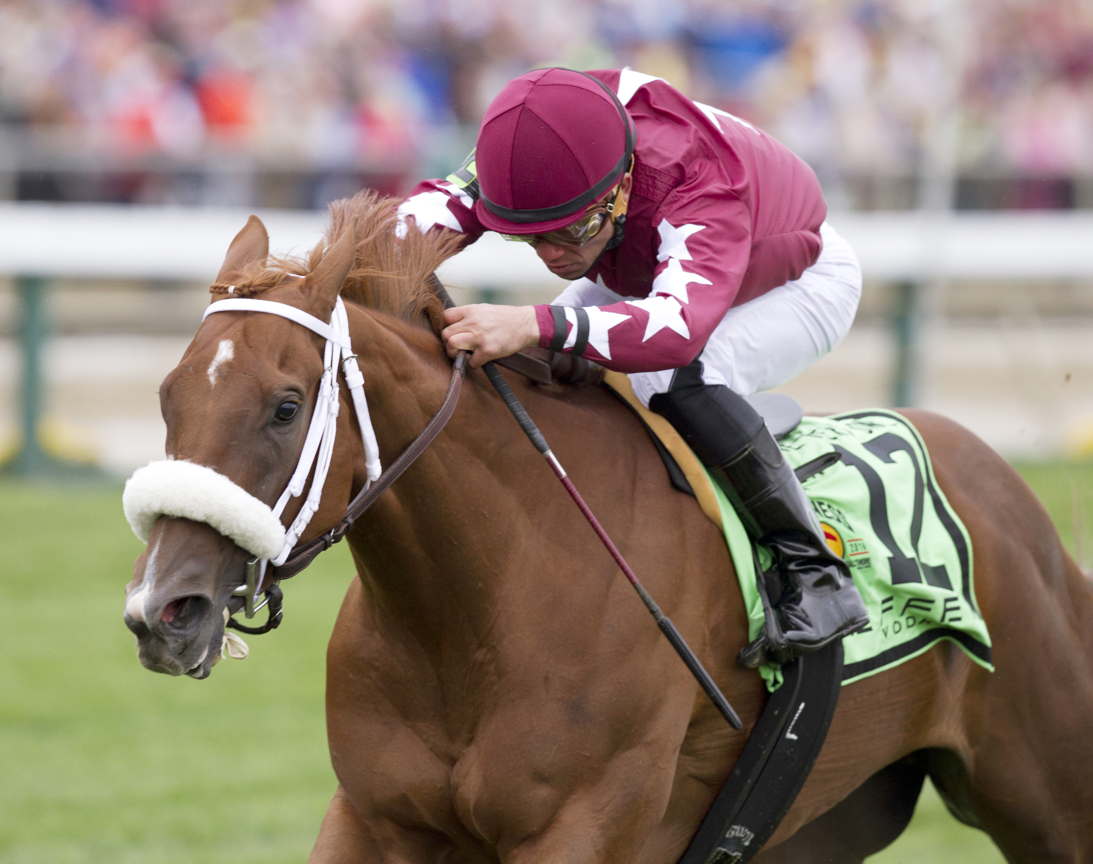 Lady Shipman wins The Very One Stakes