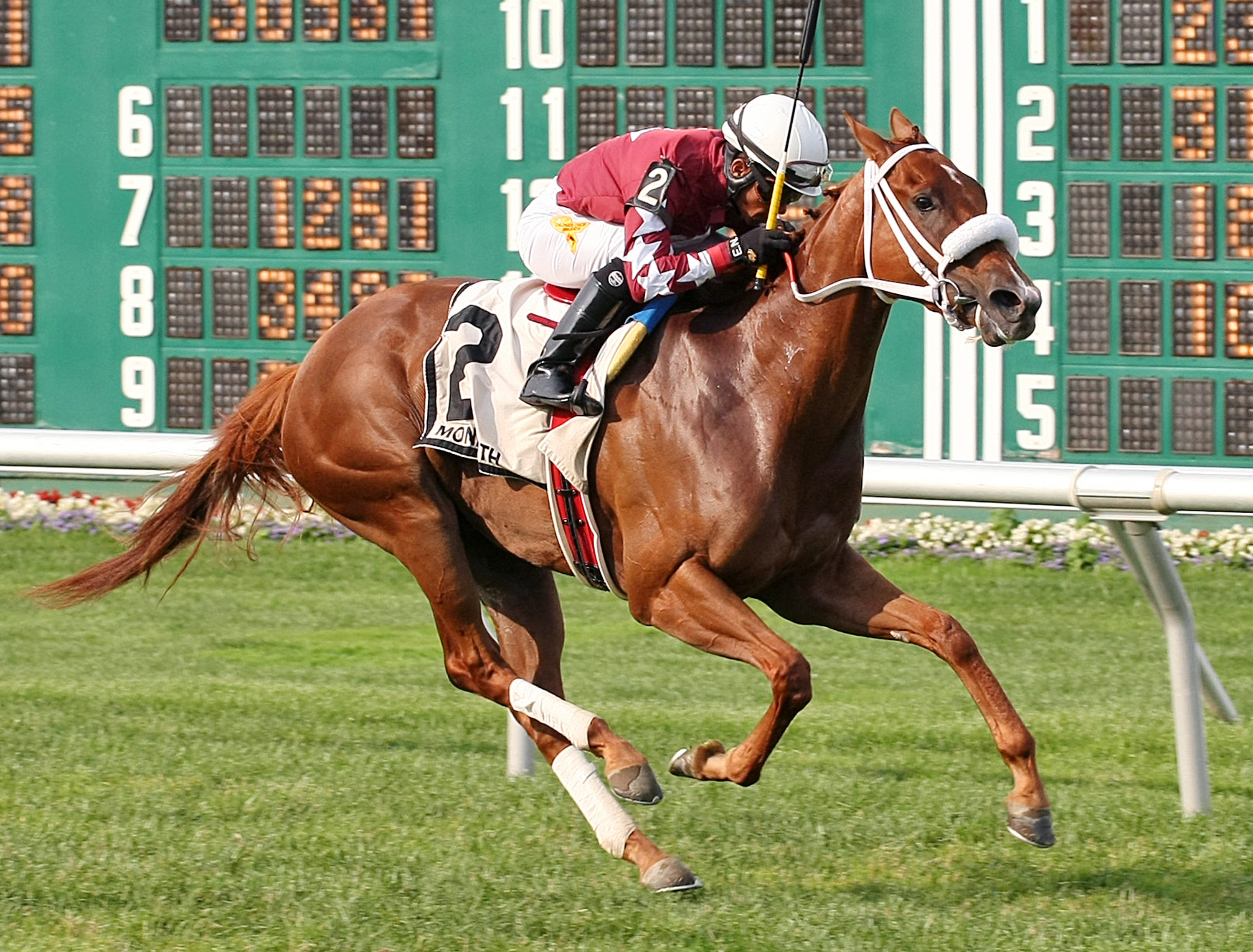 Lady Shipman wins the Klassy Briefcase