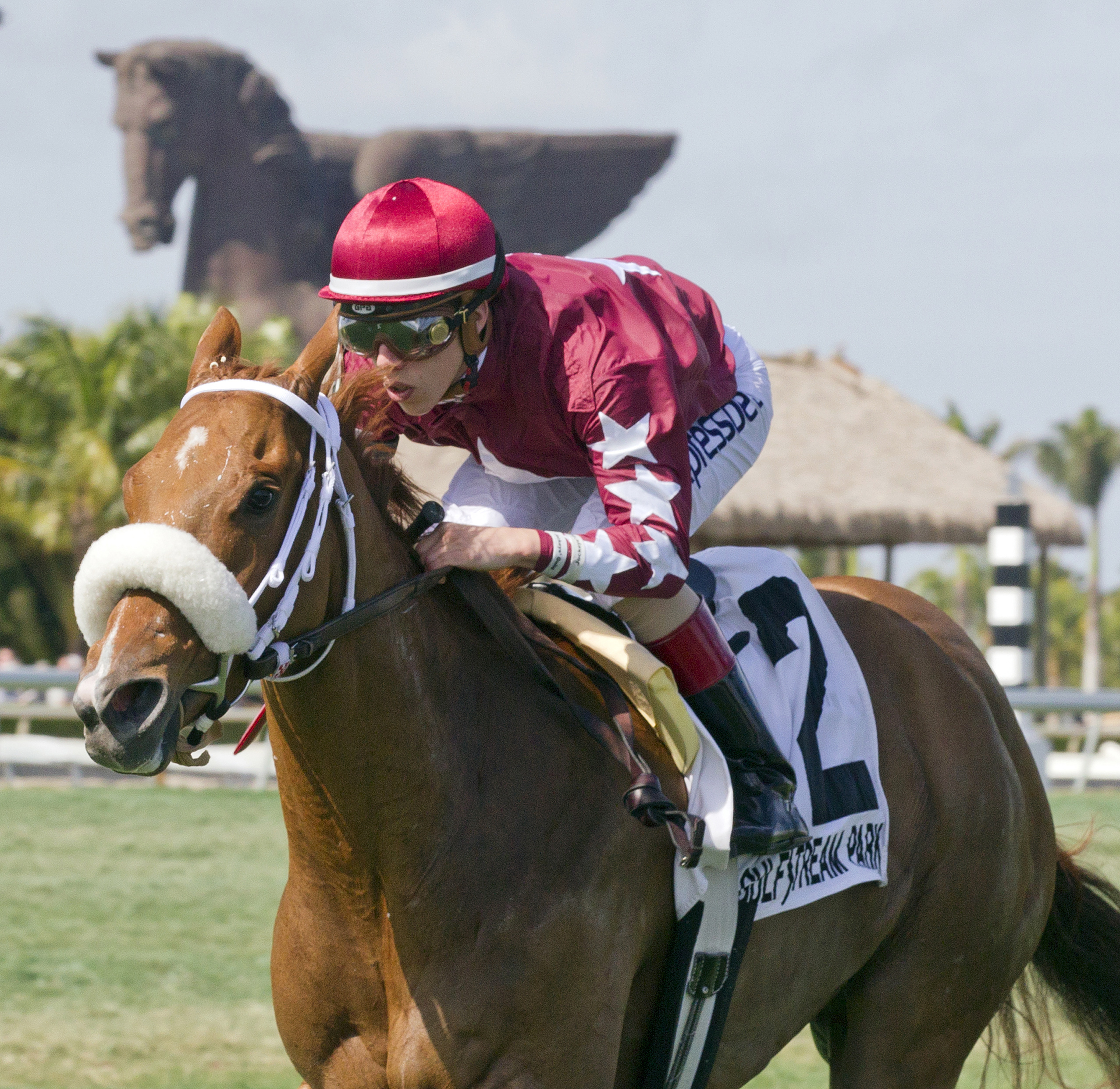 Lady Shipman wins the Ladies' Turf Sprint Stakes