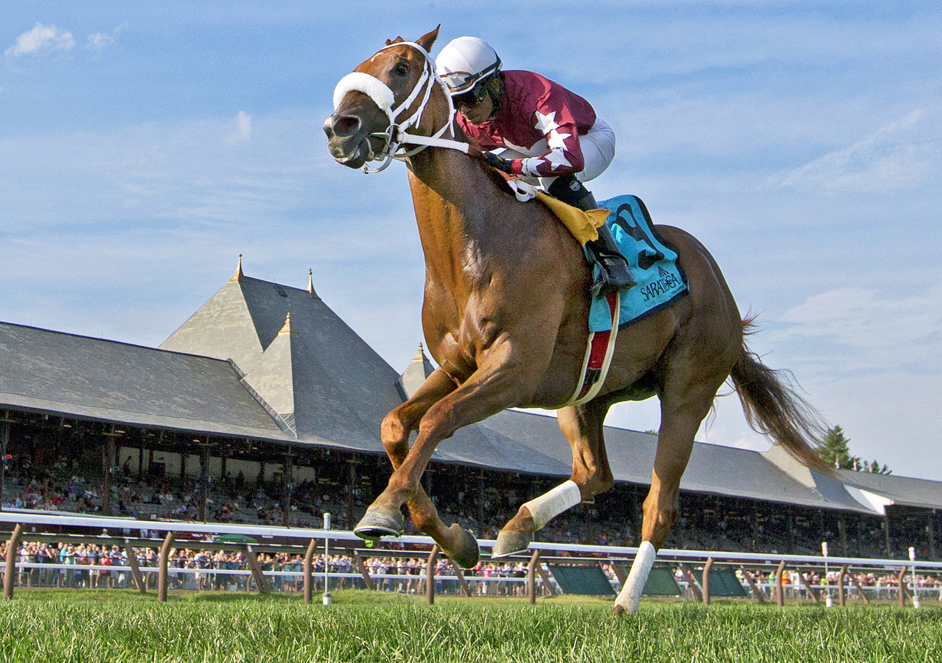 Lady Shipman wins the Coronation Cup