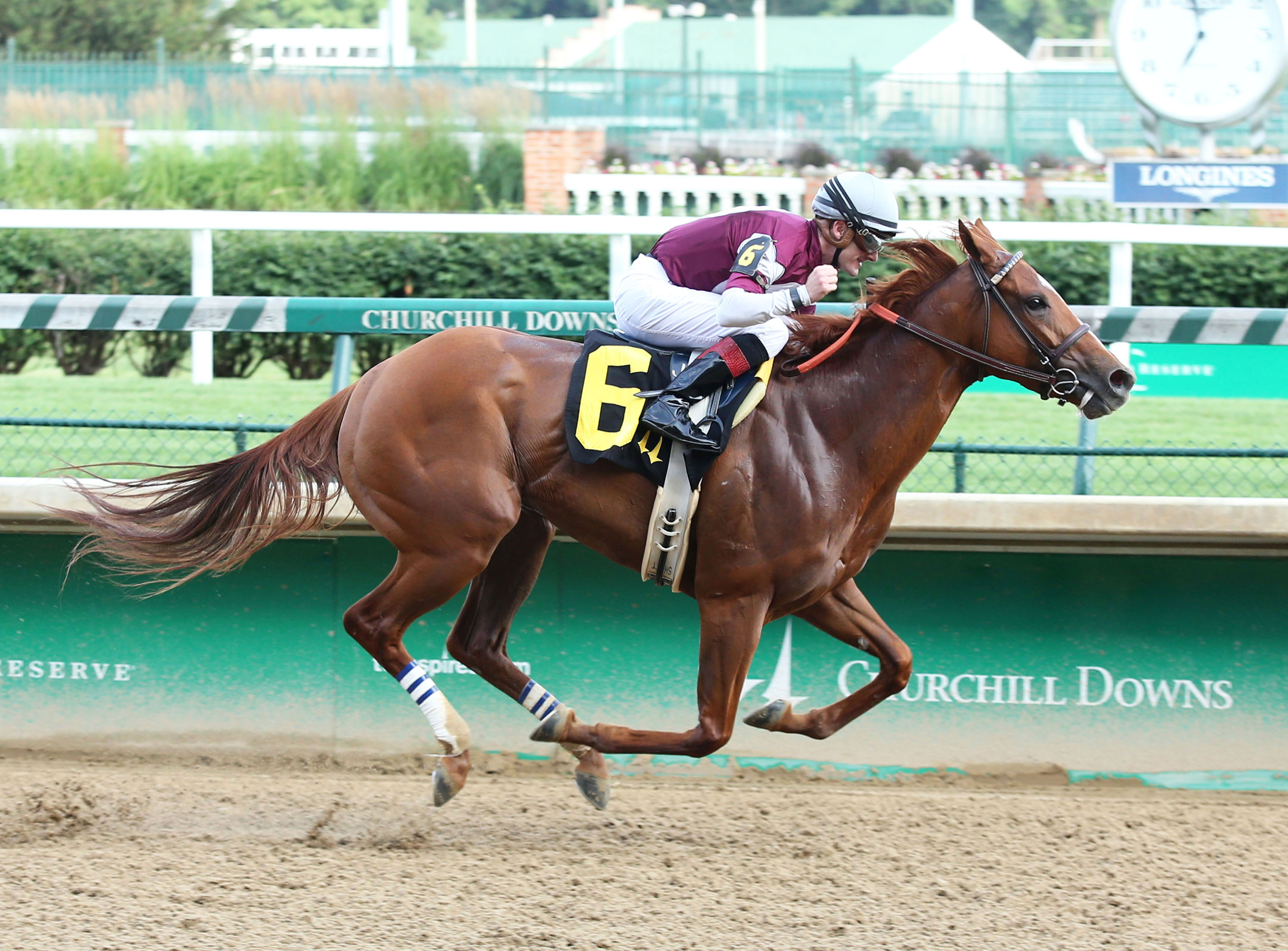 Lady Soul wins a Churchill maiden race