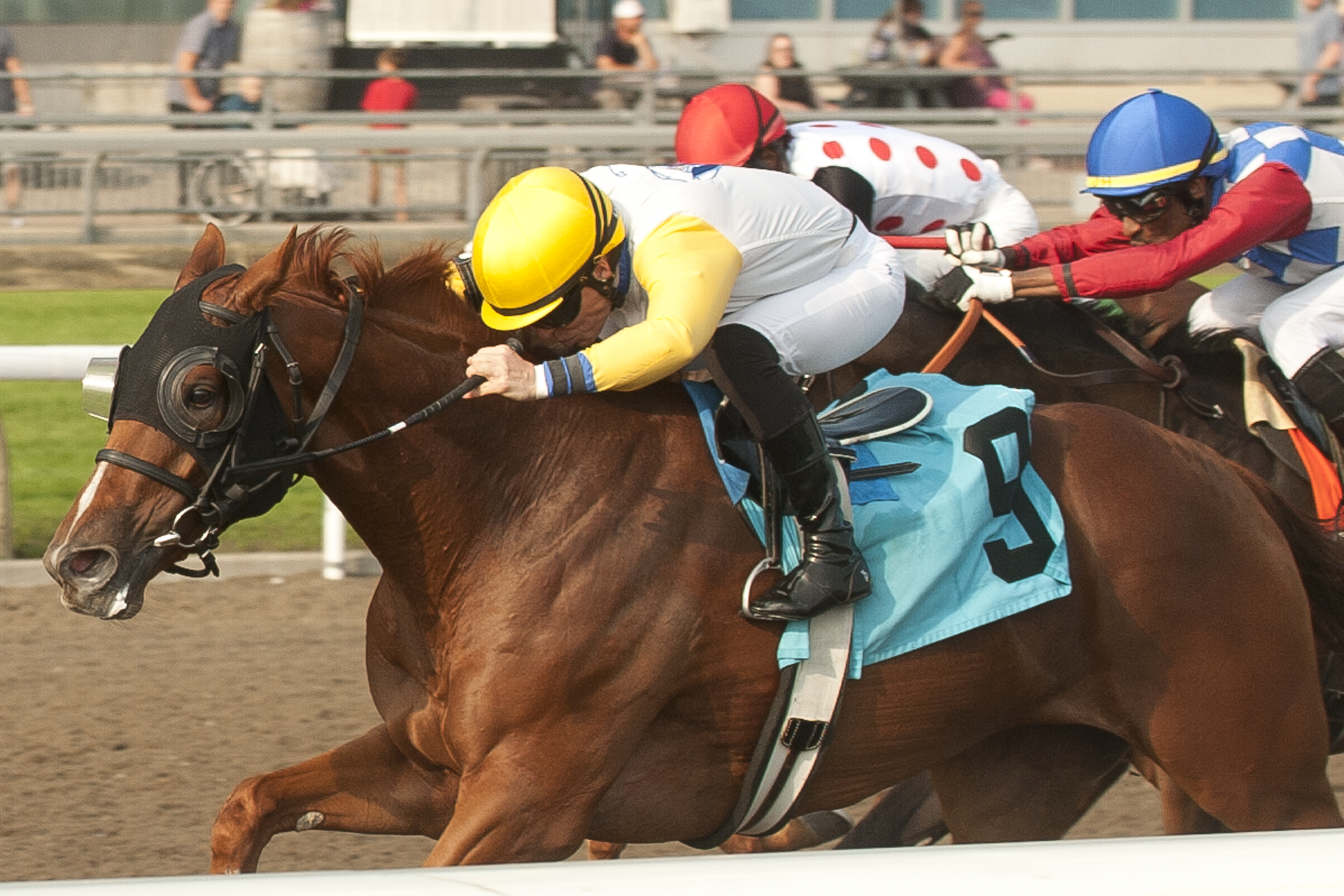 Lady Speightspeare wins the Seaway at Woodbine Sept 17 2022