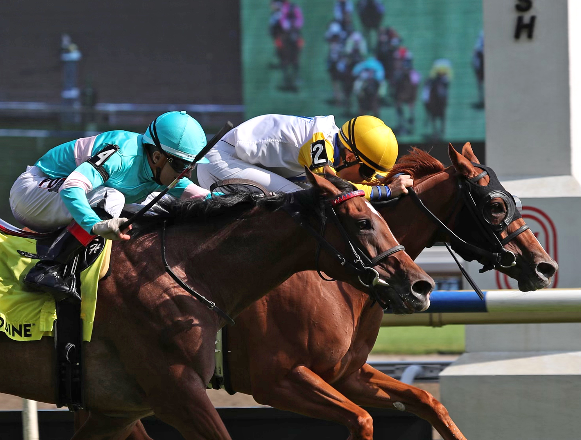 Lady Speightspeare (2), Crystal Cliffs (4) dead heat in Nassau 7-2-2022