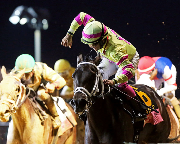 Lady T N T wins the 2019 Charles Town Oaks at Charles Town Races