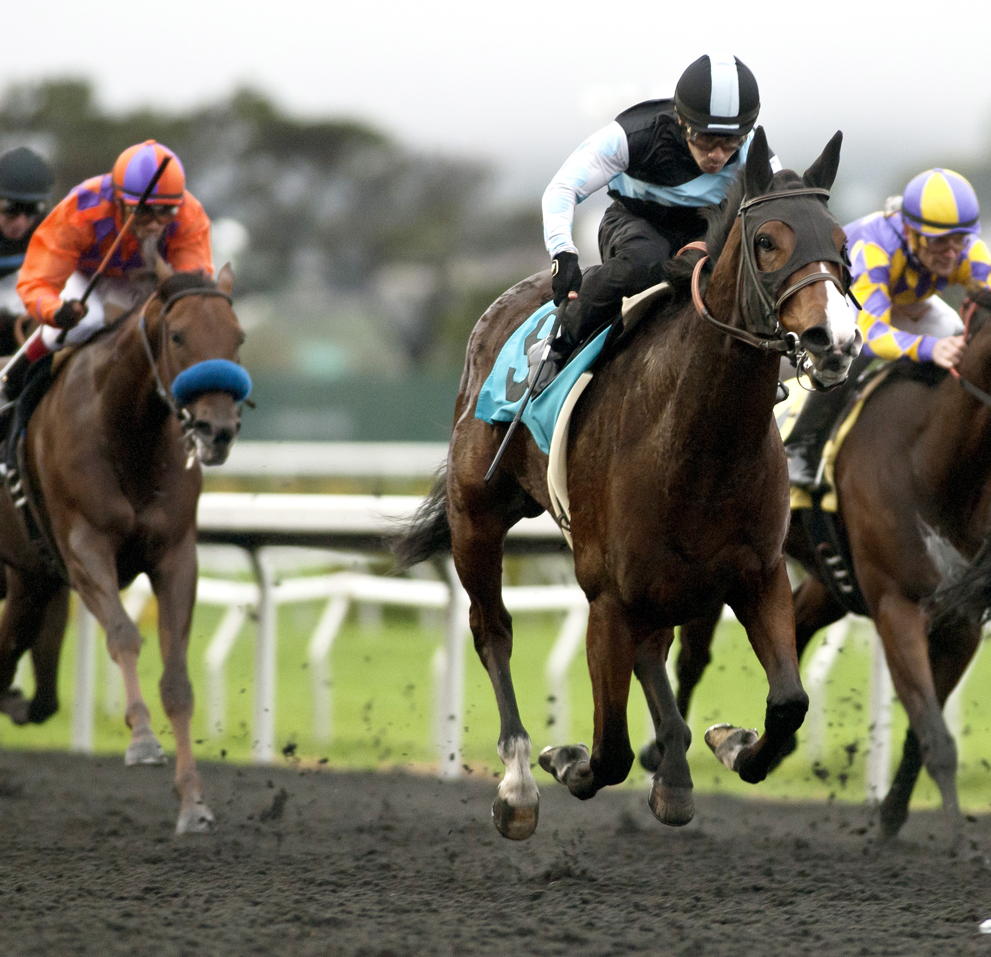 Lady Valeur wins the 2016 Miss America Stakes