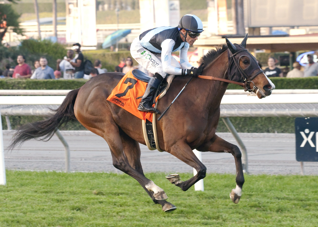 Lady Valeur wins a maiden race at Santa Anita on Feb. 13.
