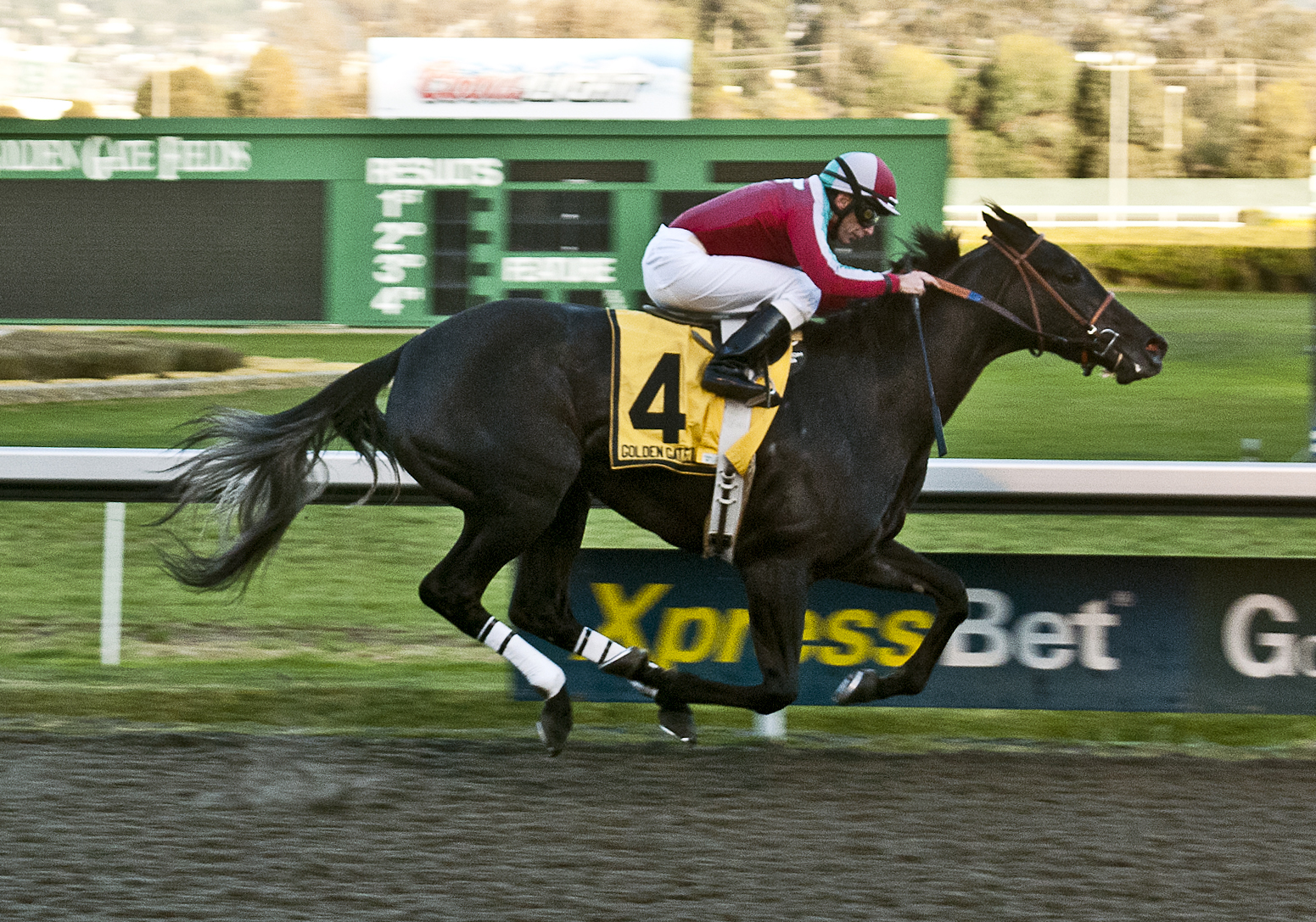 Lady of Fifty/California Oaks
